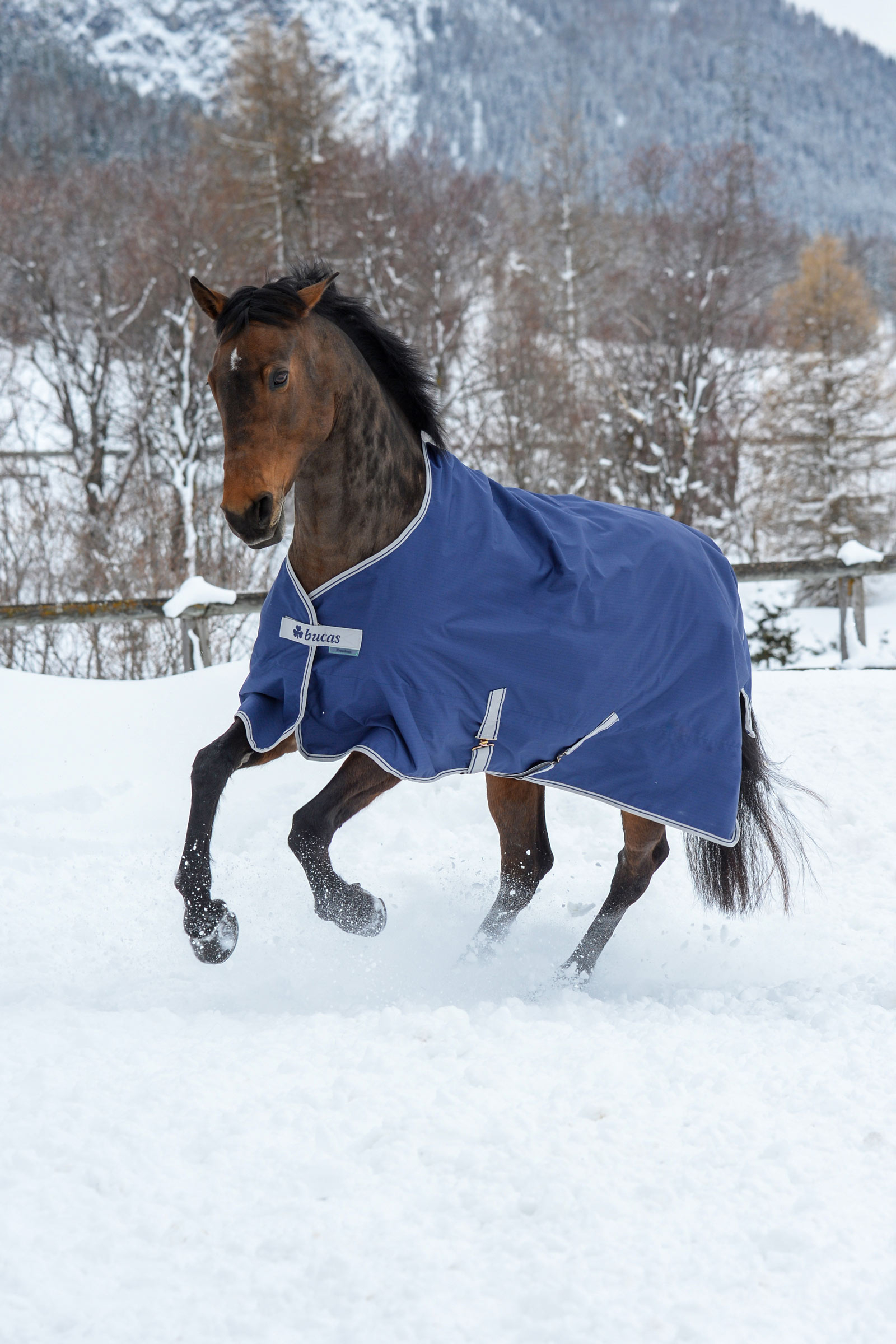 Bucas Freedom Turnout Rug, 150g