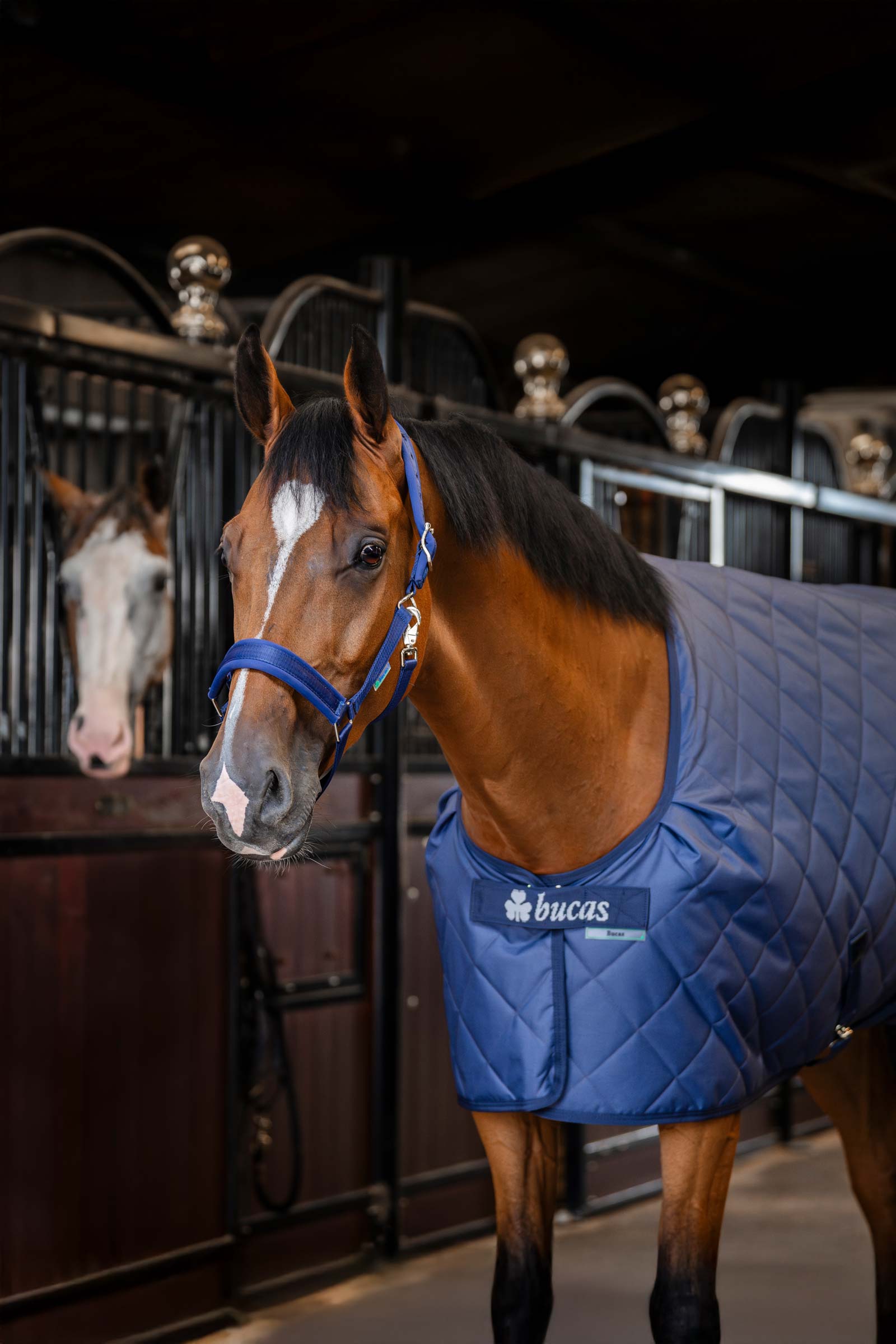 Bucas Cosy Stable Rug