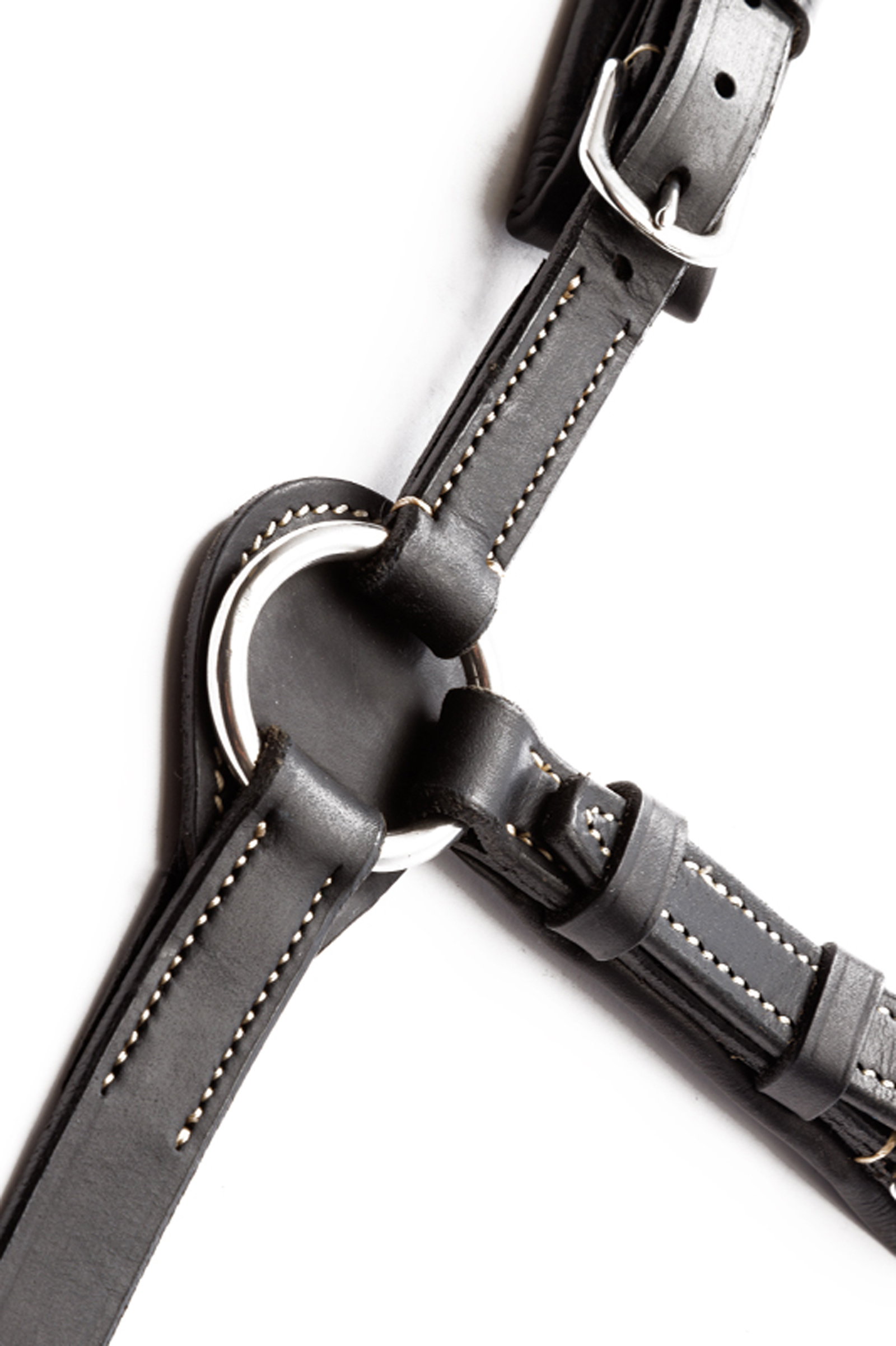 Kavalkade Jerome 2-Point Breastplate