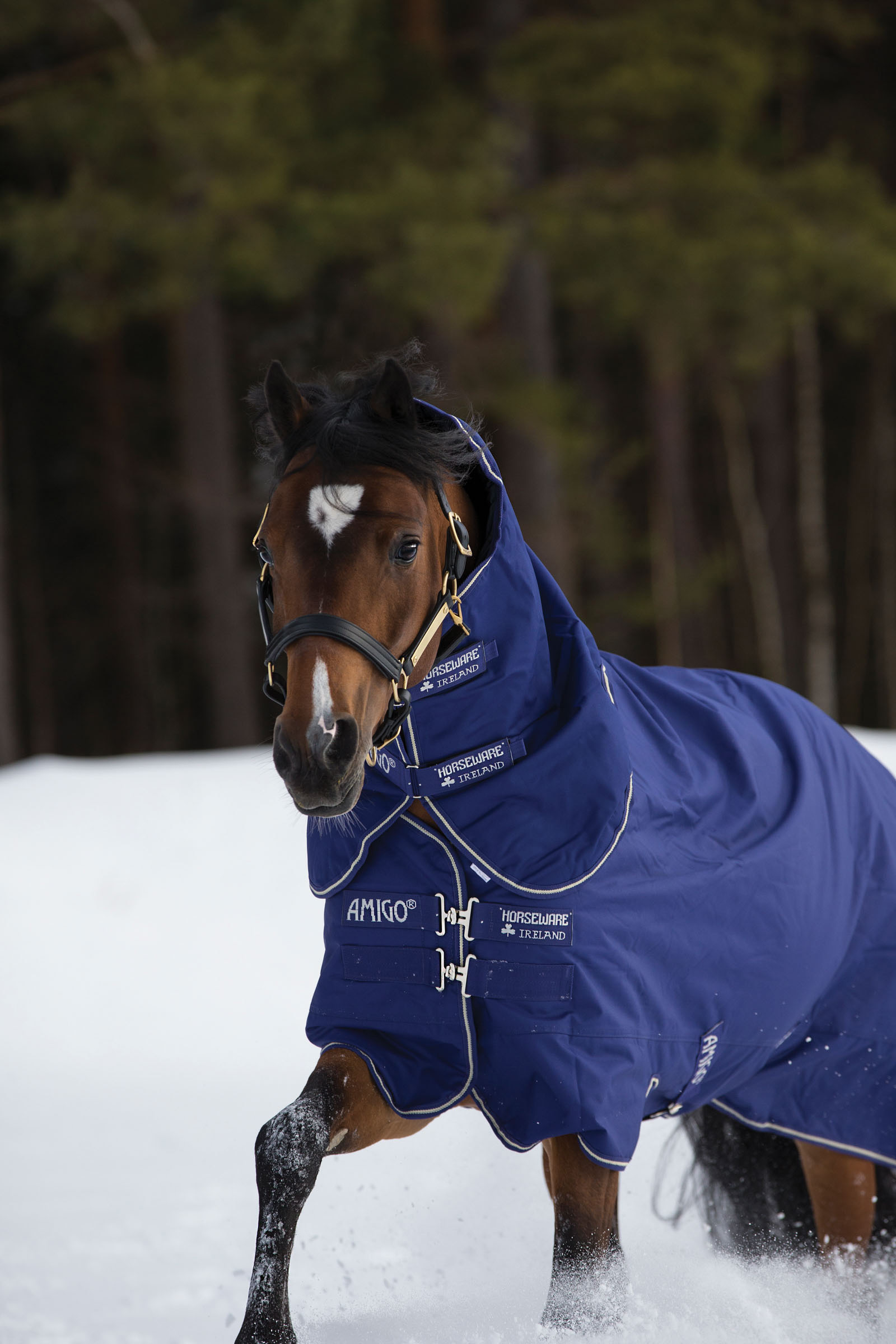 Horseware Amigo Hero 900 Plus Medium Turnout Rug, 200g