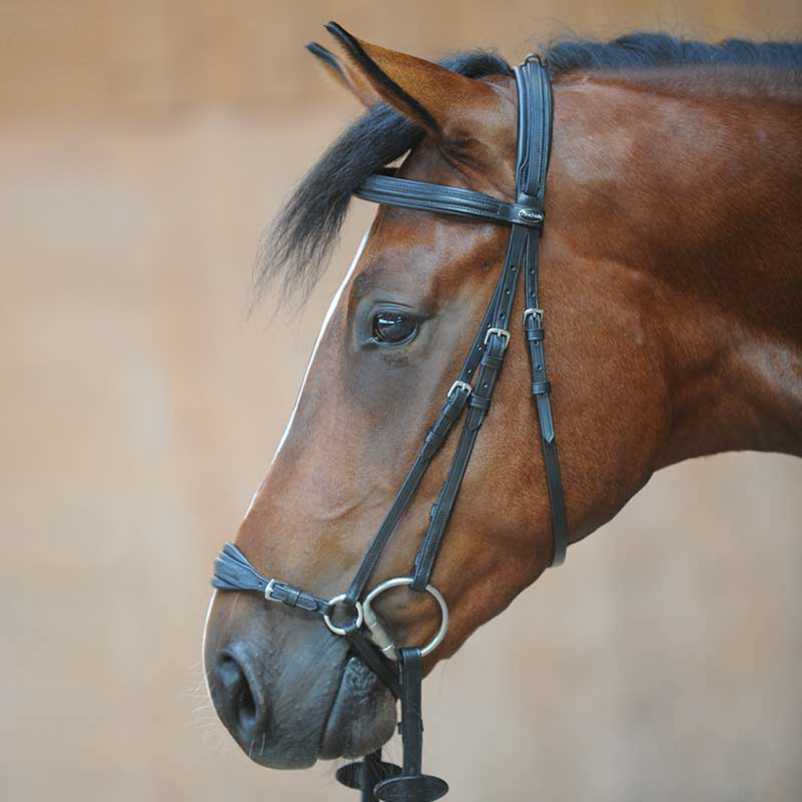 Kavalkade Levana Bridle