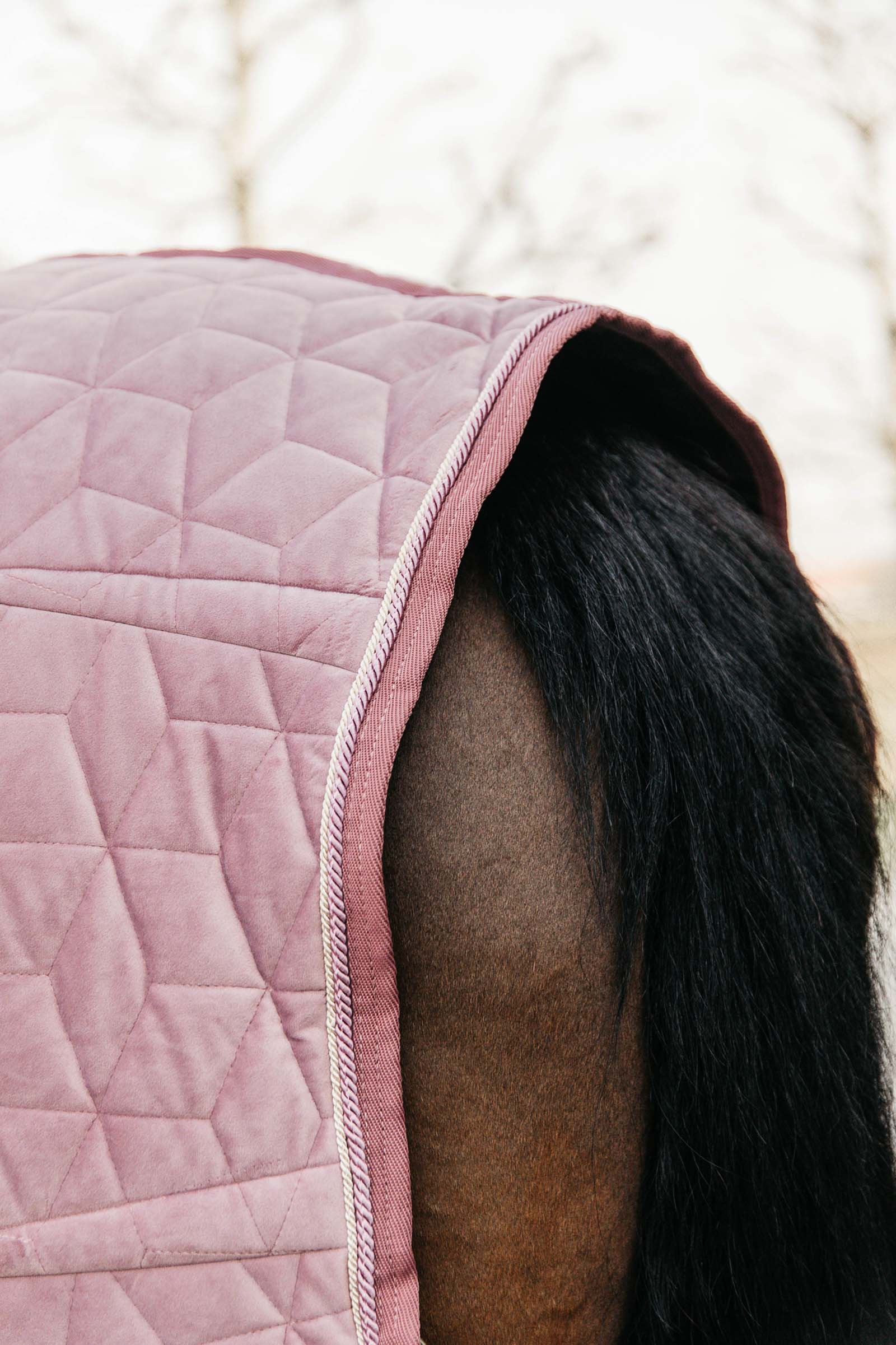 Kentucky Horsewear Velvet Show Rug, 160g