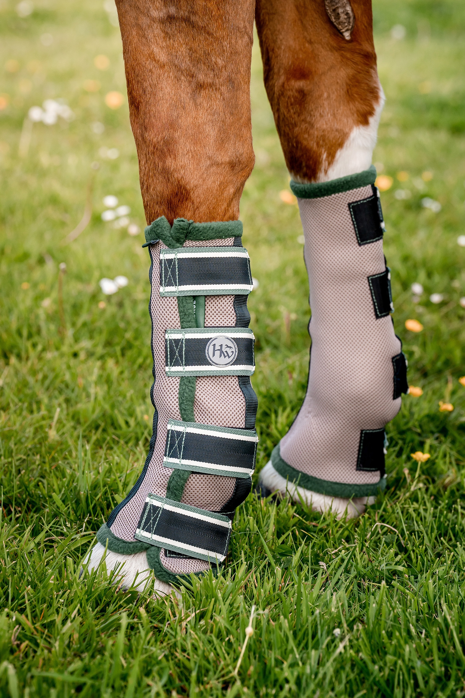 Horseware Fly Boots