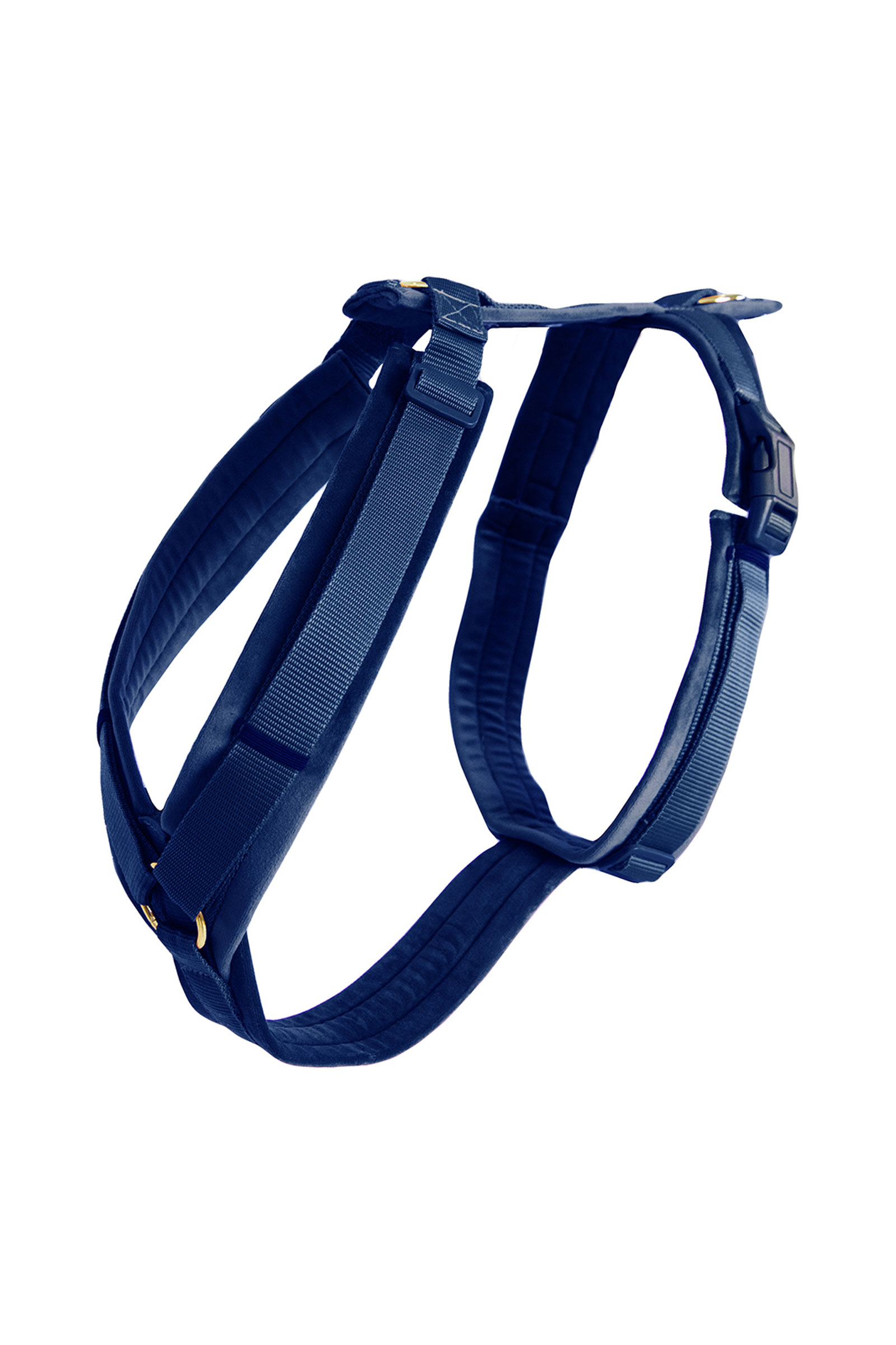 blue Kentucky Dogwear Active Velvet Dog Harness