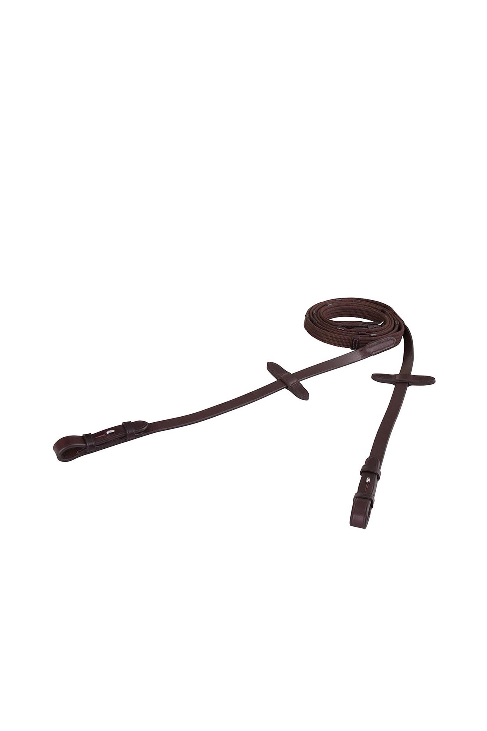 Brown/Silver BR Web Reins