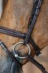 Dy'on New English Plaited Bridle With Flash Noseband 