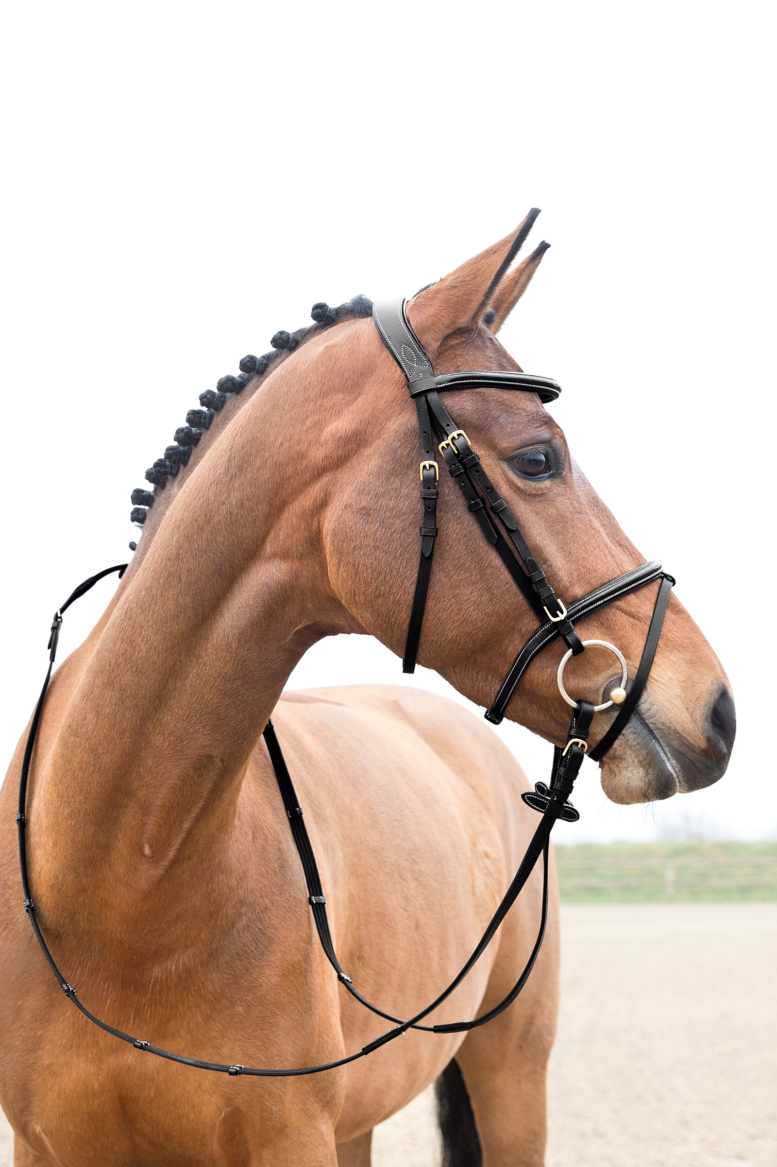 Horze Constance Padded Flash Bridle