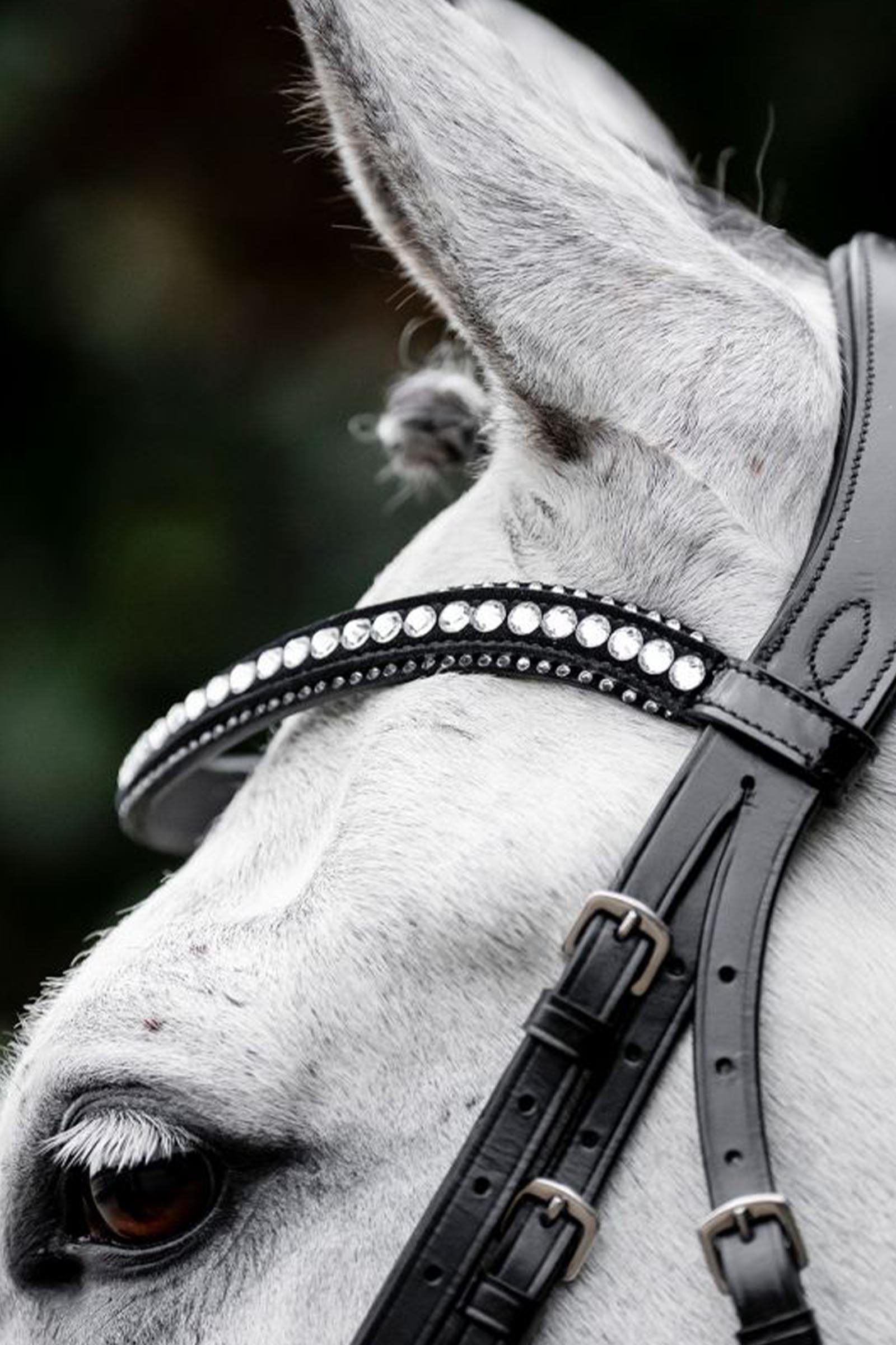 Horseware Diamante Flash Bridle