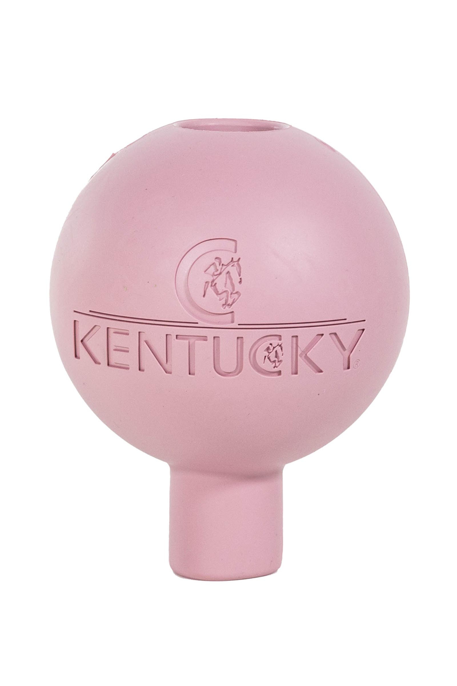 Old Rose Kentucky Horsewear lead & wall protection rubber ball  