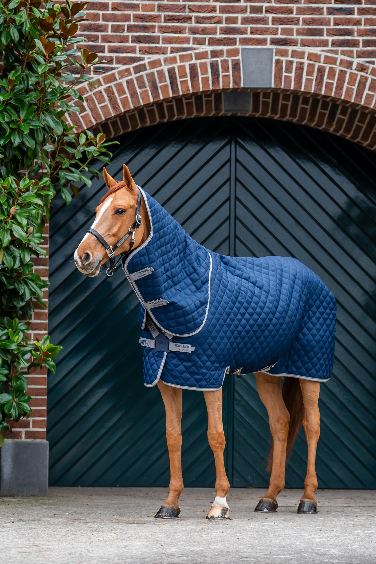 Horseware Amigo Quilted Stable Plus Rug, 200 g