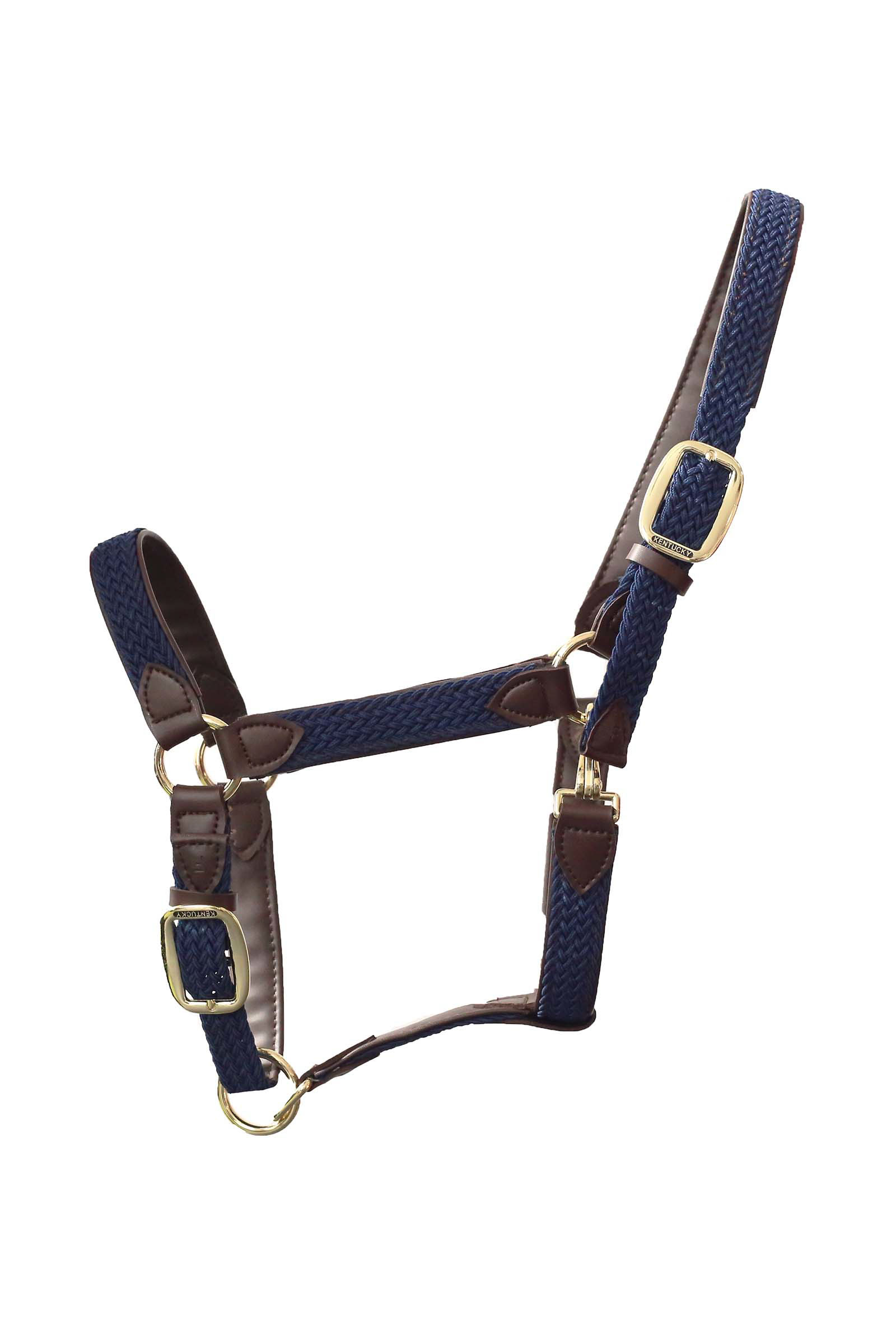 Kentucky Plaited Nylon Halter