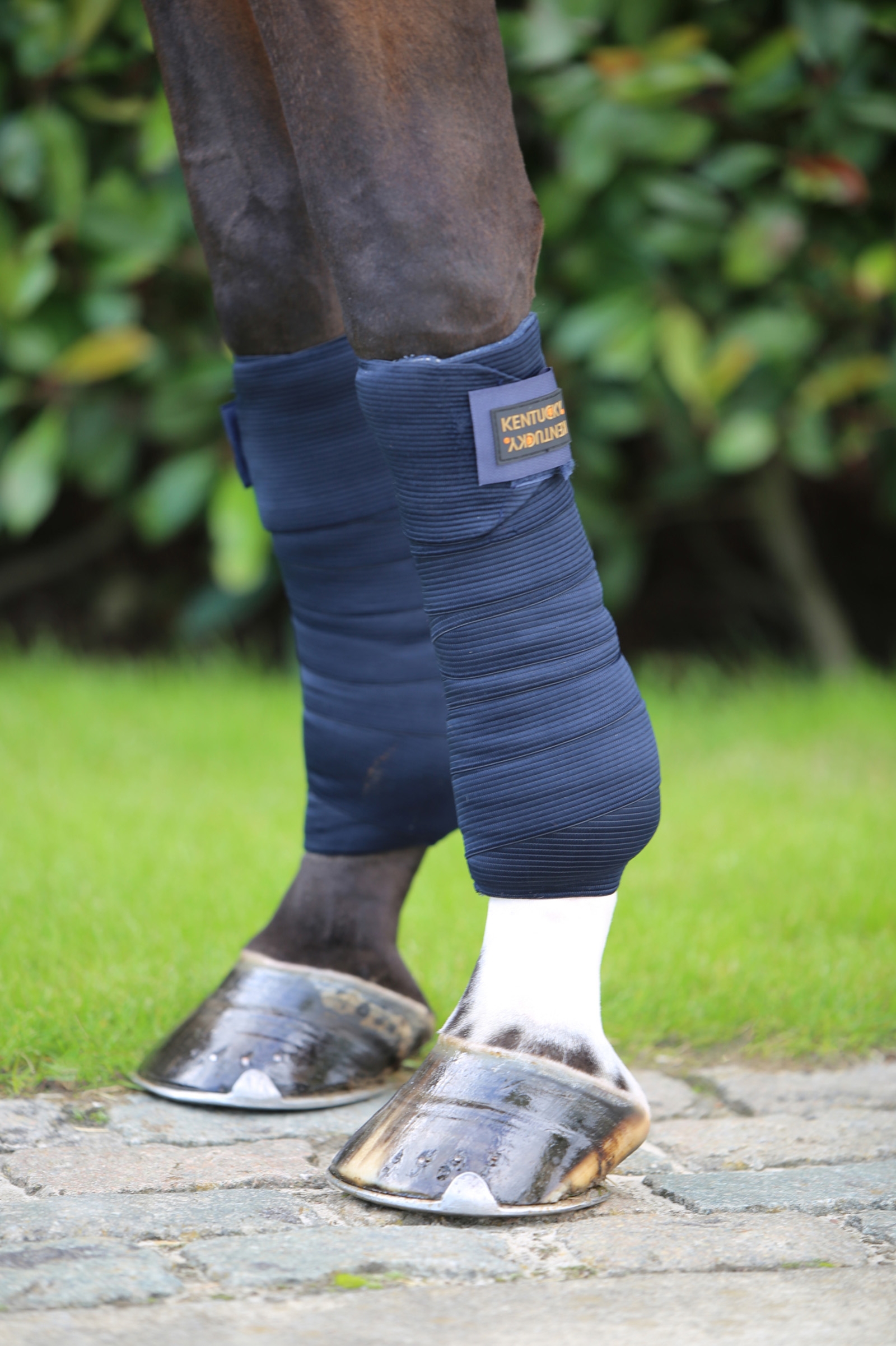 Kentucky Horsewear Elastic Bandages