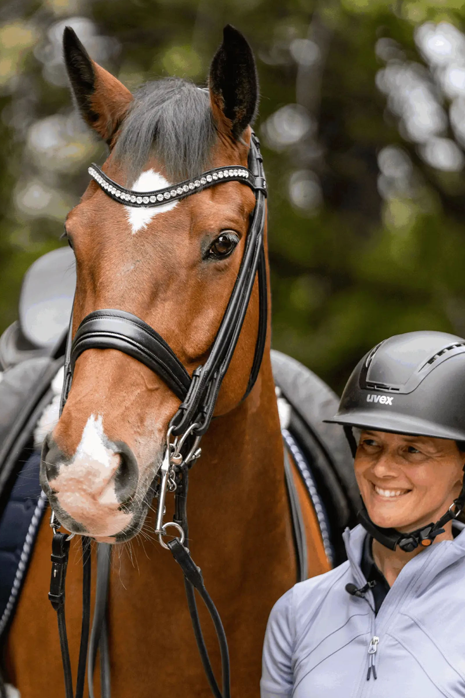 Sprenger Novocontact Weymouth 14mm Sensogan with 7cm Stainless Steel Cheeks