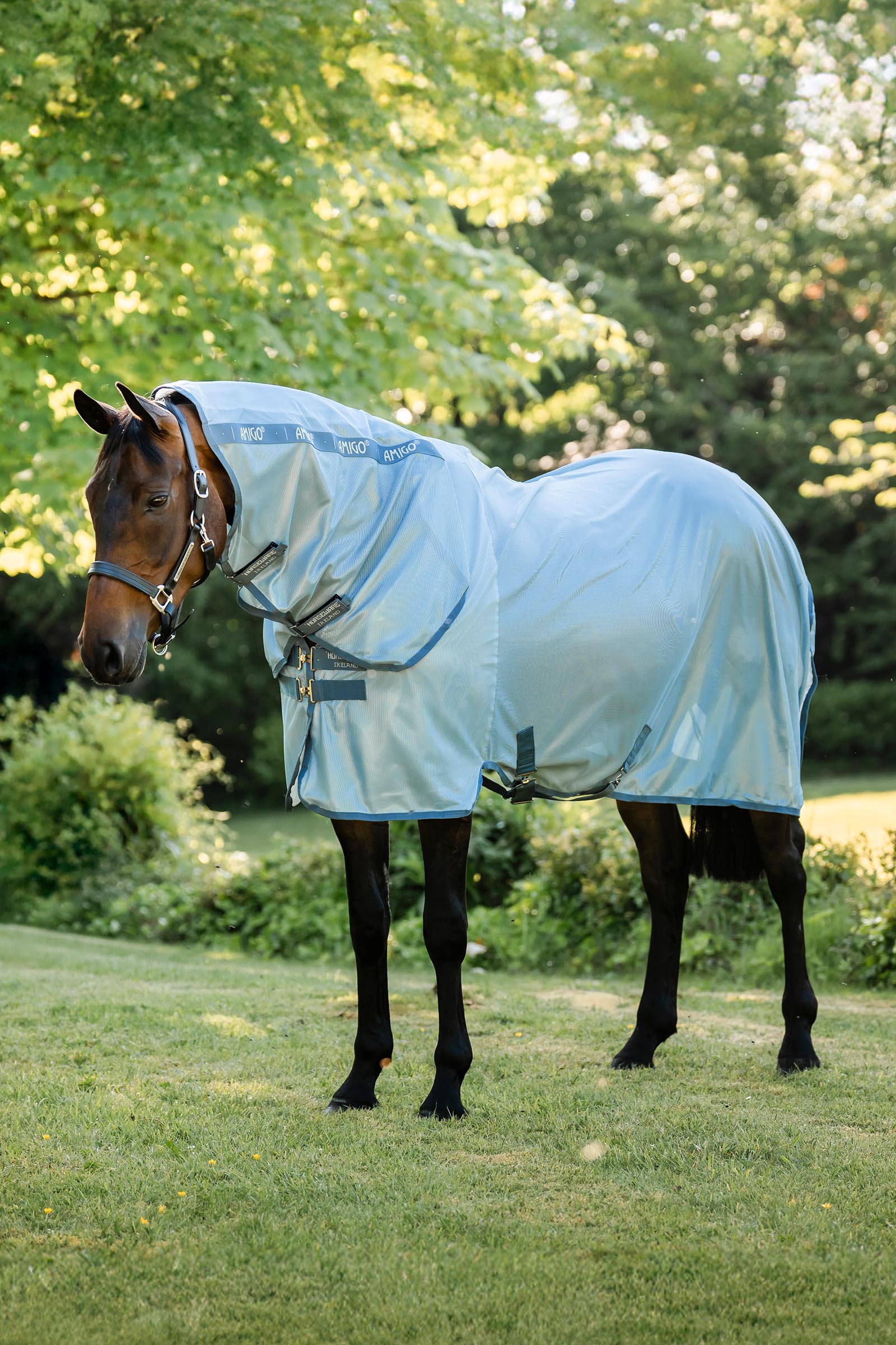 Heather Blue/Blue & Silver Horseware Amigo Integrated Fly Sheet