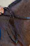 Dy'on D Collection 5/8 Web Reins With 9 Leather Loops 
