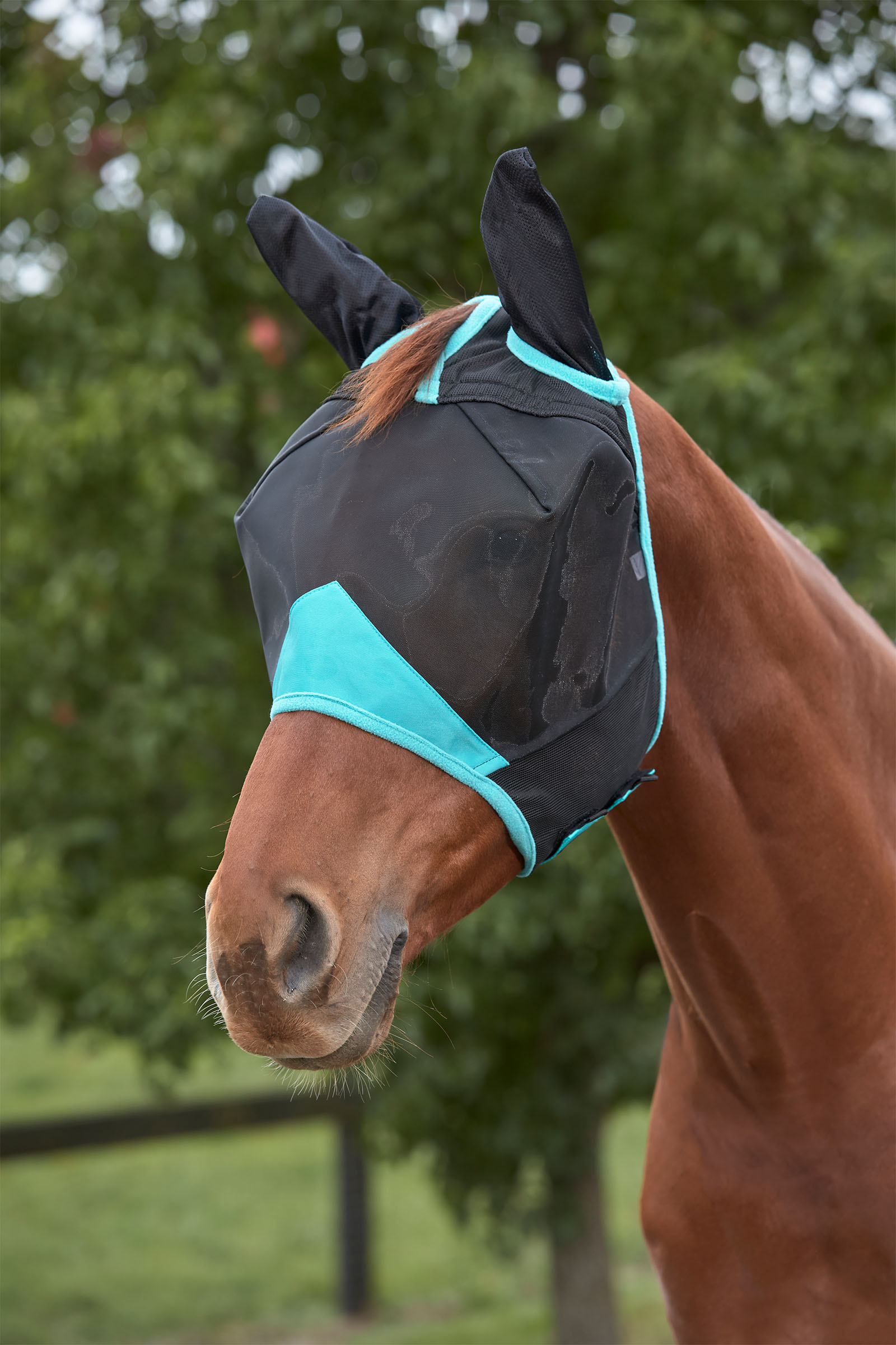 Weatherbeeta Comfitec Deluxe Fine Mesh Mask with Ears