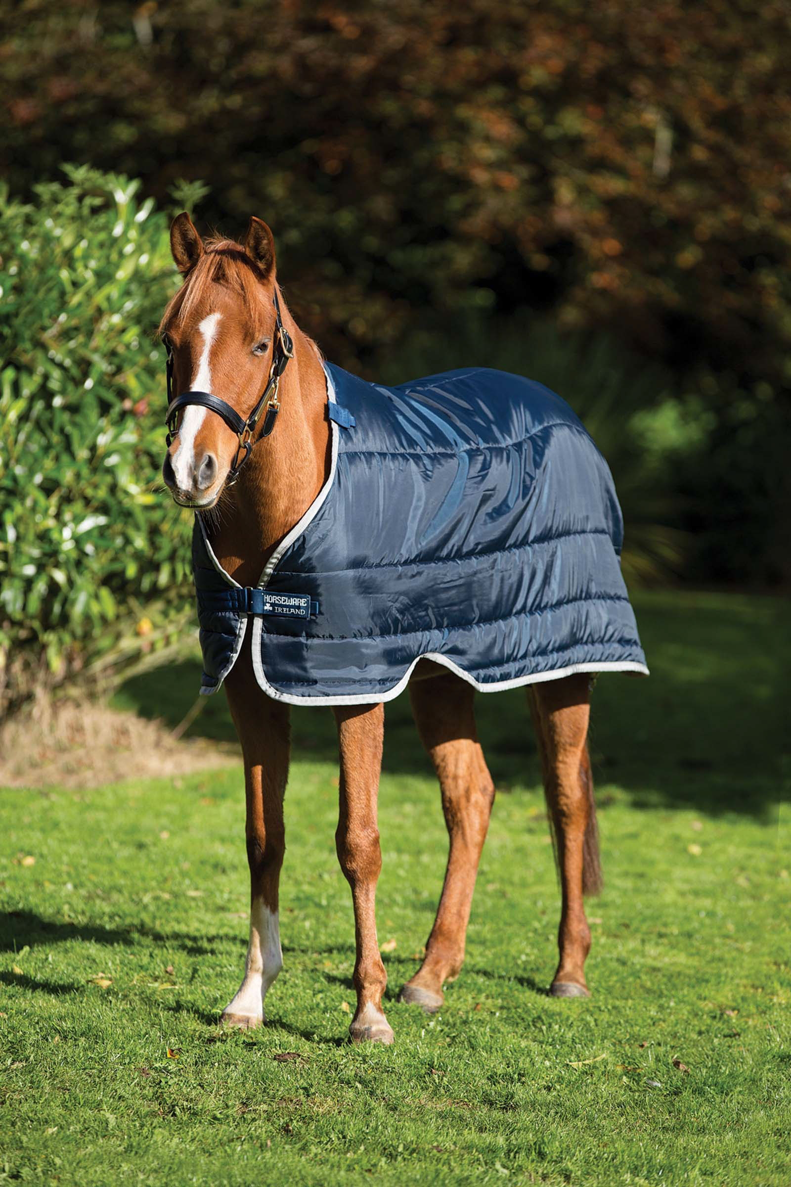 Horseware Pony Under Rug, 200g