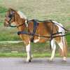 Waldhausen Single Harness Pony and Shetty