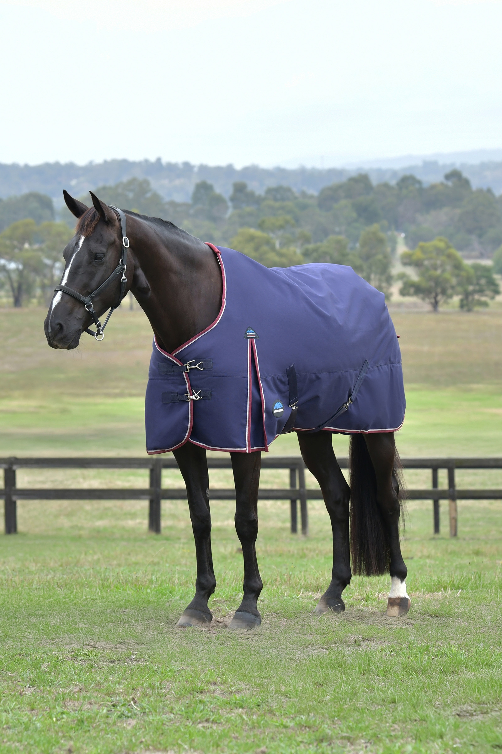 Weatherbeeta ComFiTec Essential Turnout Standard Neck 0G