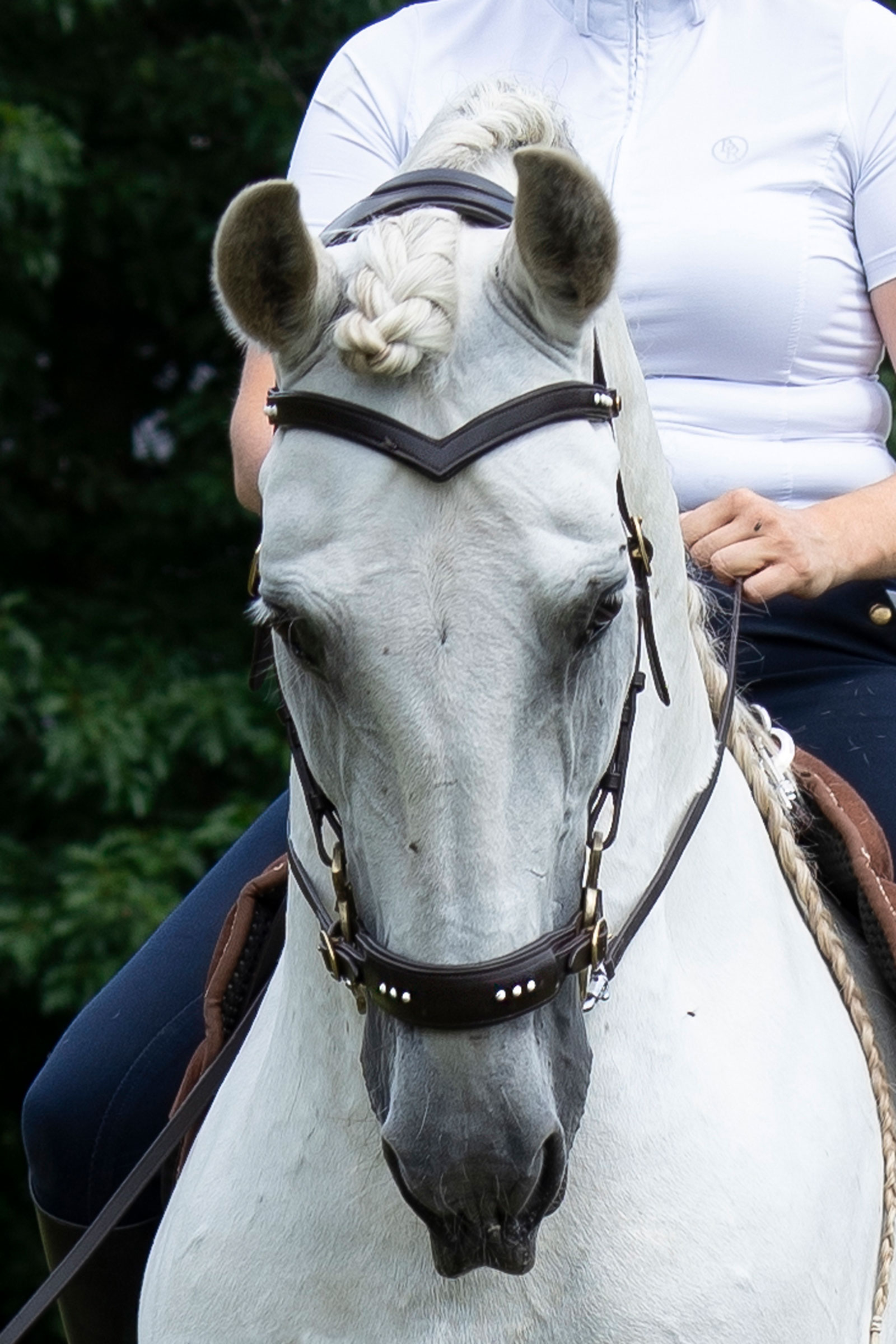 F.R.A. Freedom Riding Articles Glory Hackamore Bridle With Reins (System 2), brown