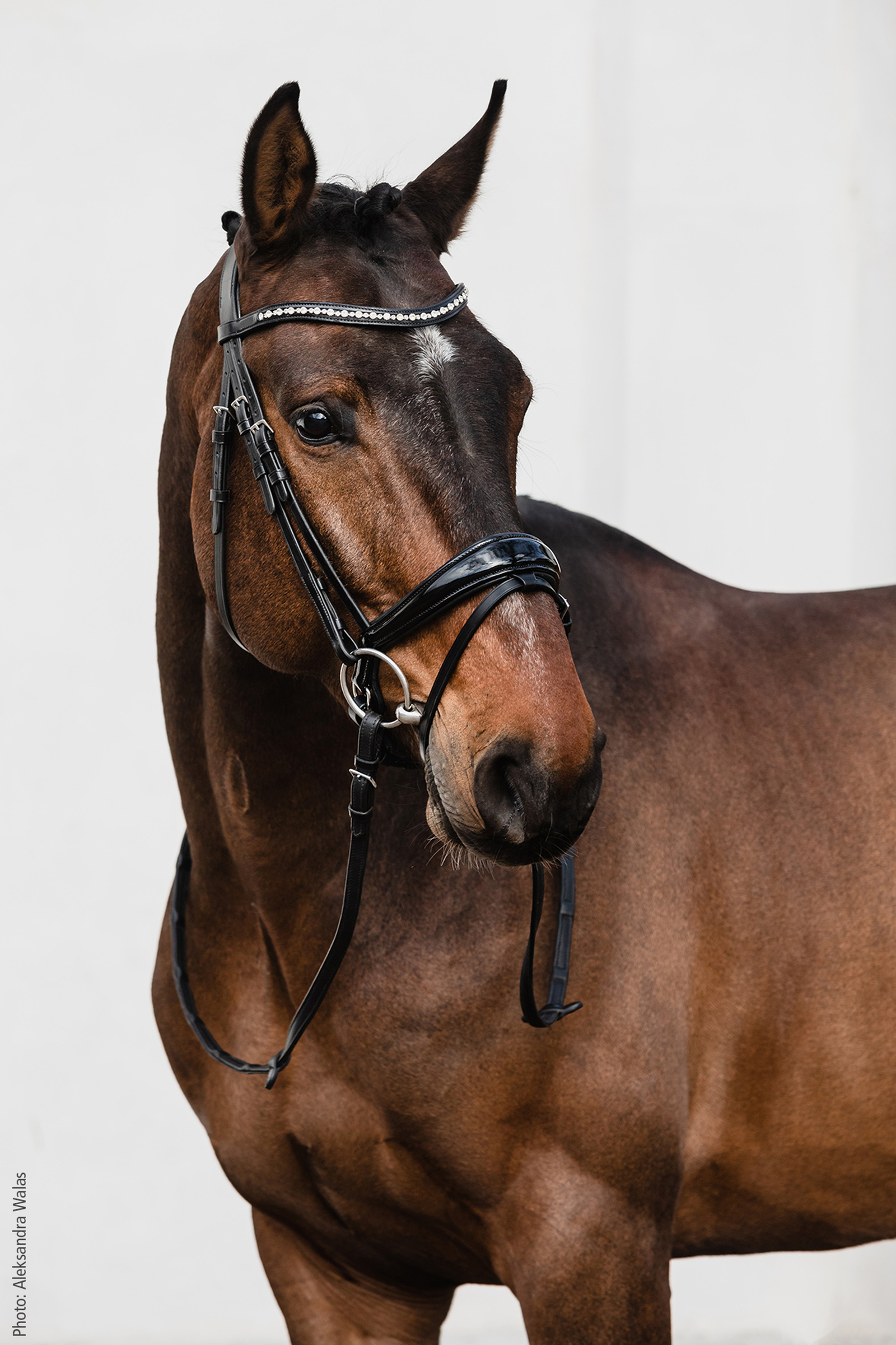 Black/Patent Grey Schockem&ouml;hle Sports Brantford Bridle