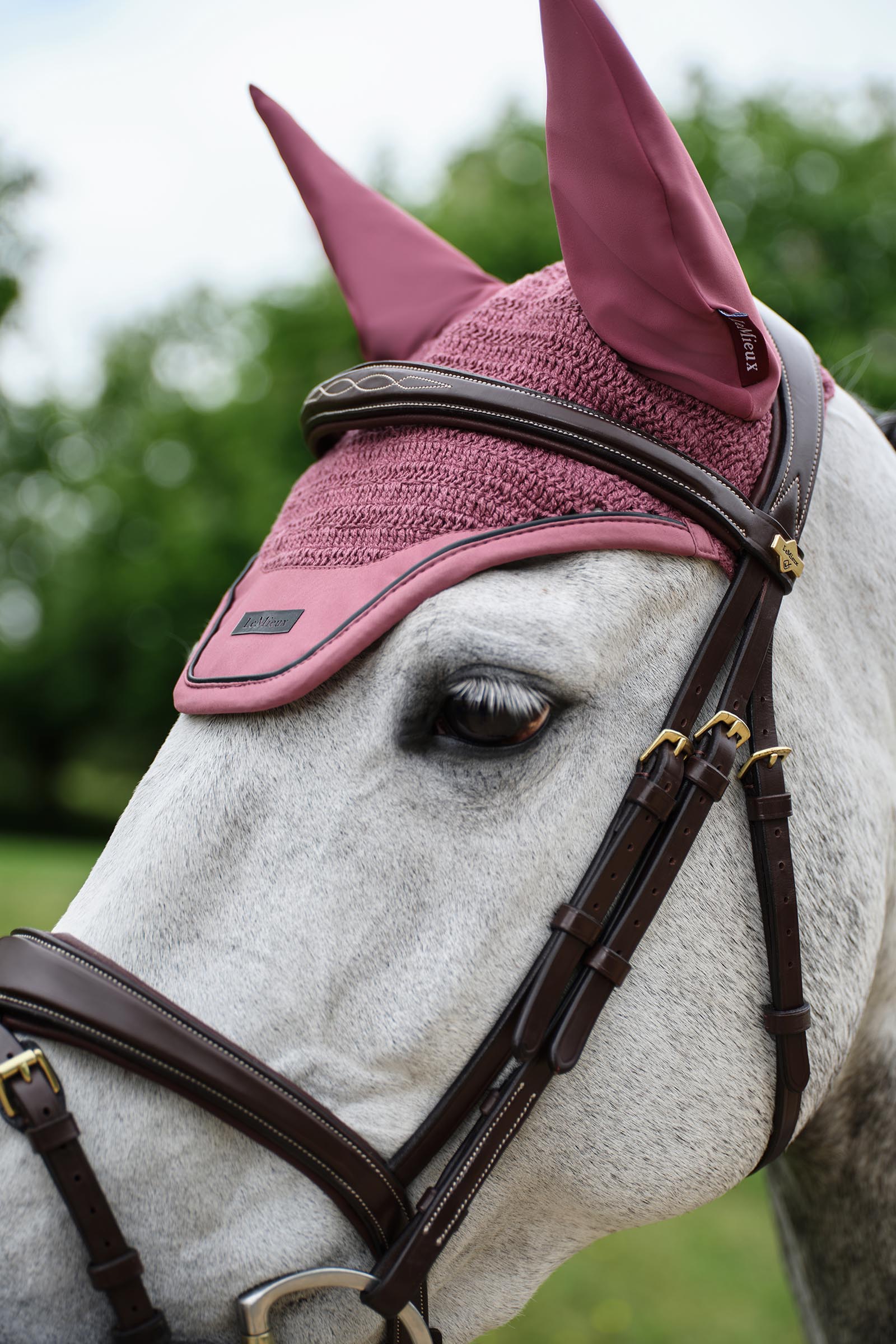 LeMieux Essence Fly Hood