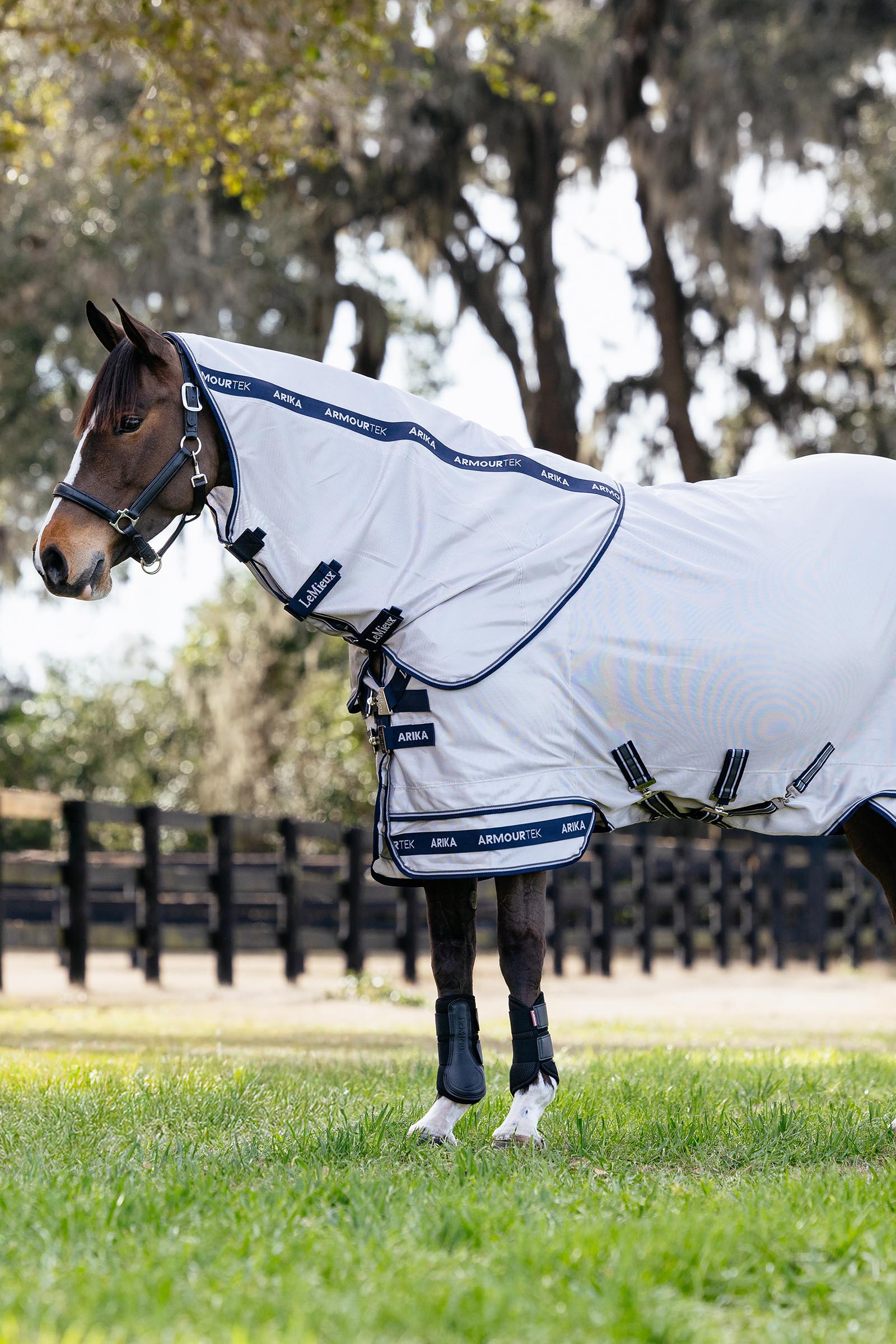 LeMieux Arika Armour-Tek Fly Rug w. Detachable Neck