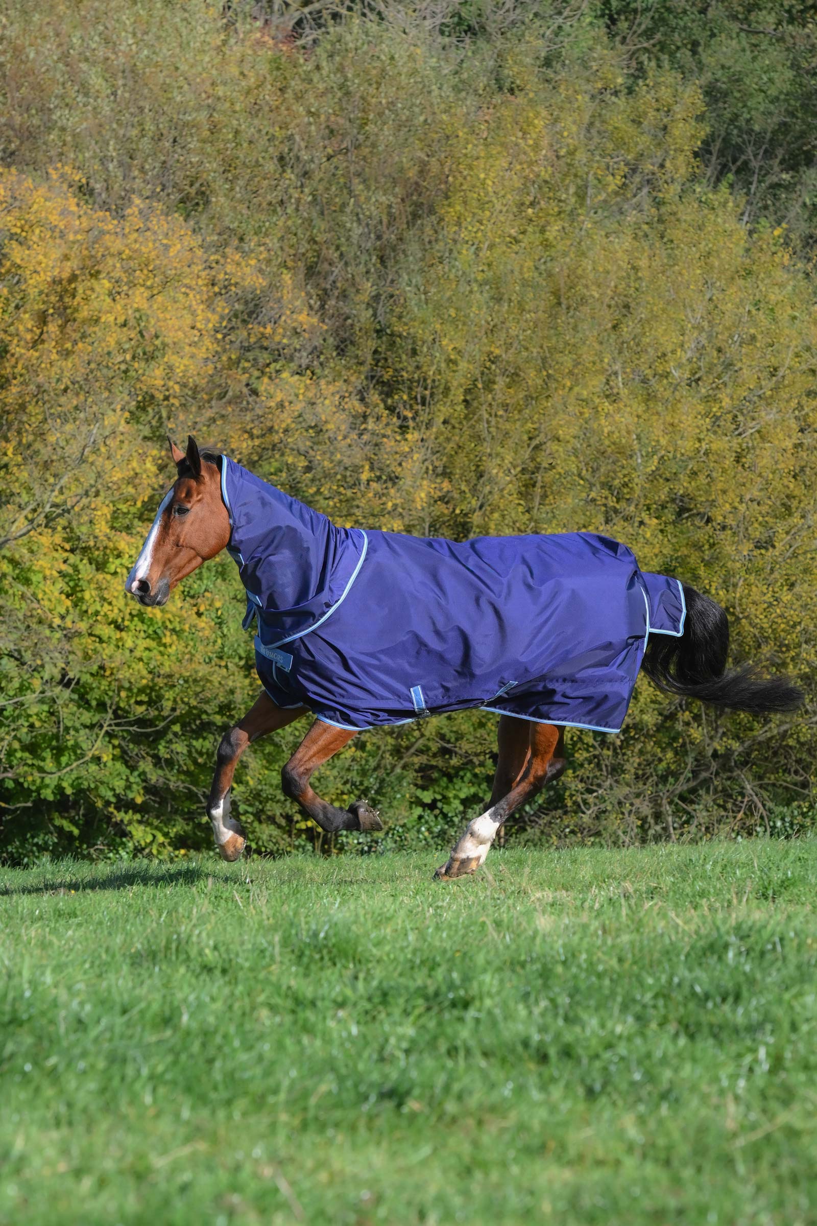 Bucas Atlantic Exclusive Rug & Neck Set, 0 g