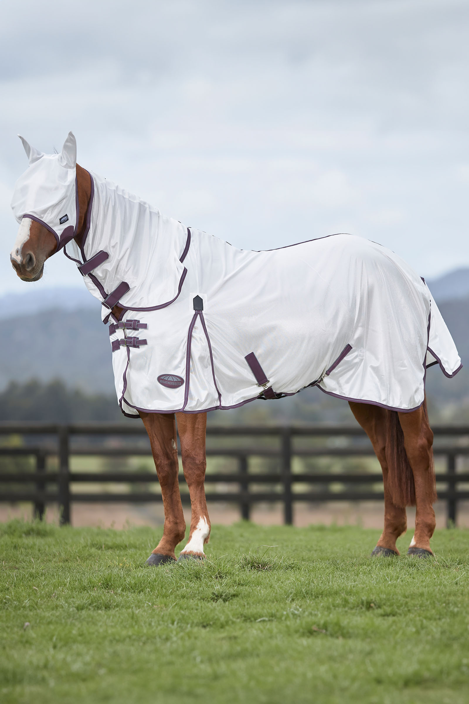 Weatherbeeta Comfitec Essential Mesh Mask