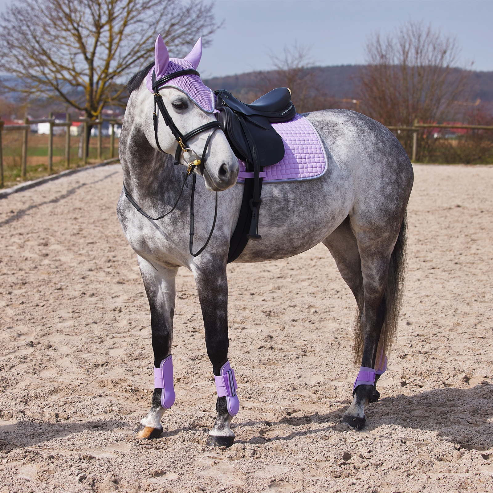 Horze Adepto Tendon Boots