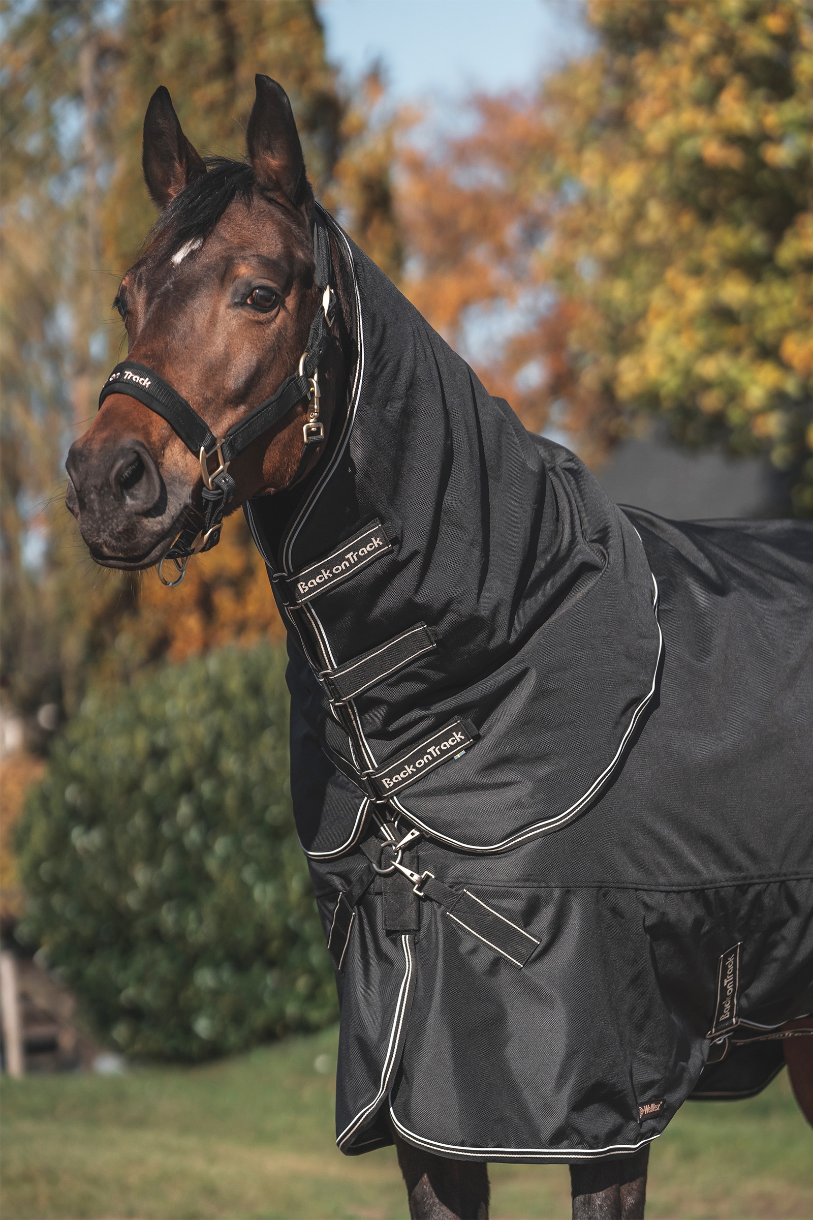 Back on Track Obsidian Turnout Rug, 0g