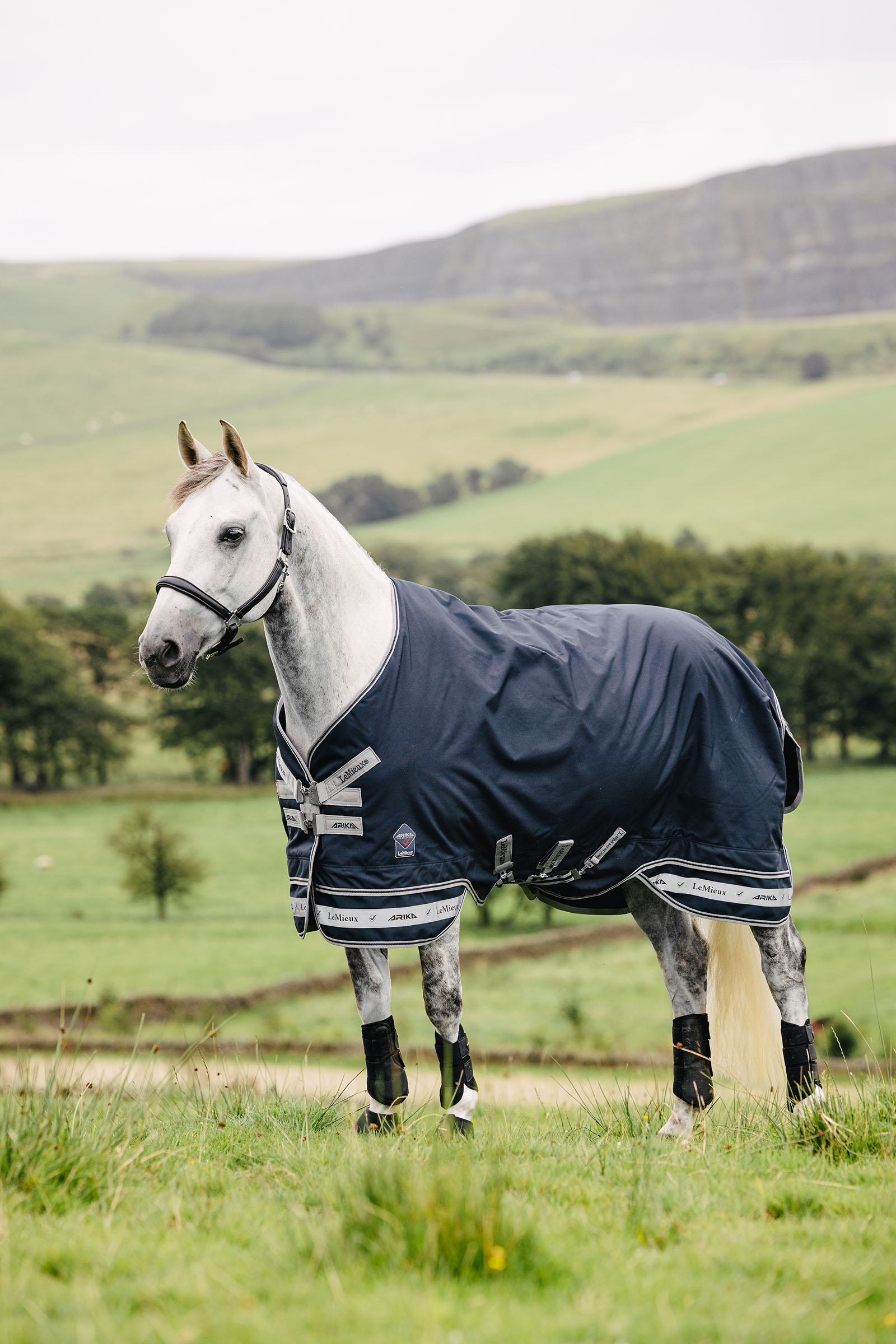 LeMieux Arika Storm-Tek Rug, 50 g