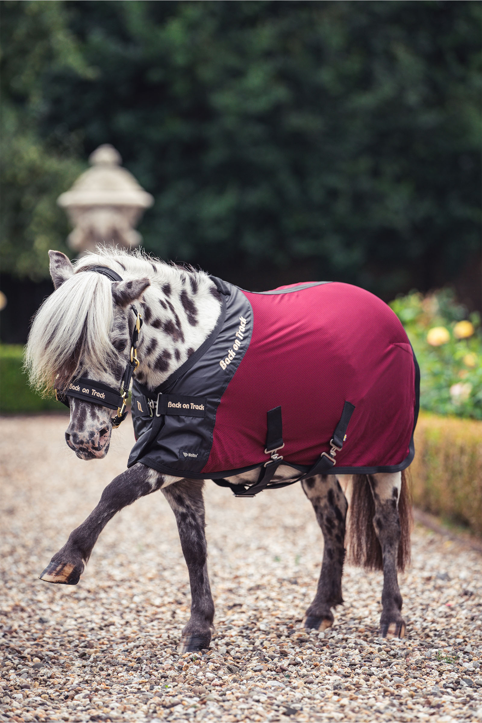 Back on Track Royal Pony Mesh Rug Deluxe