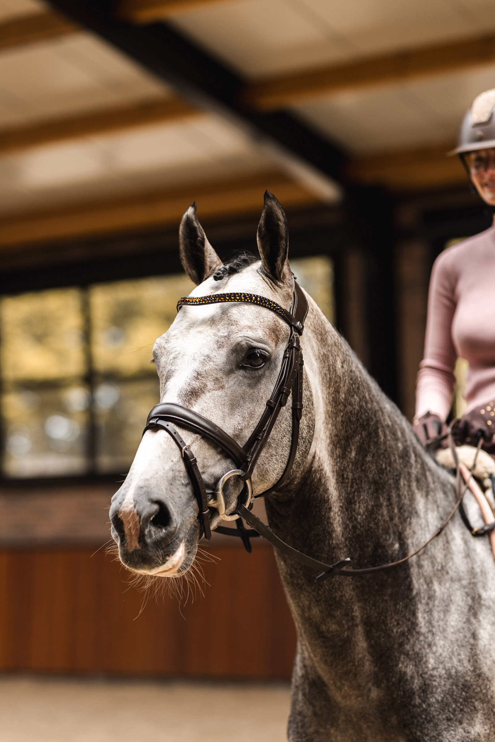 Horze St. Moritz Browband