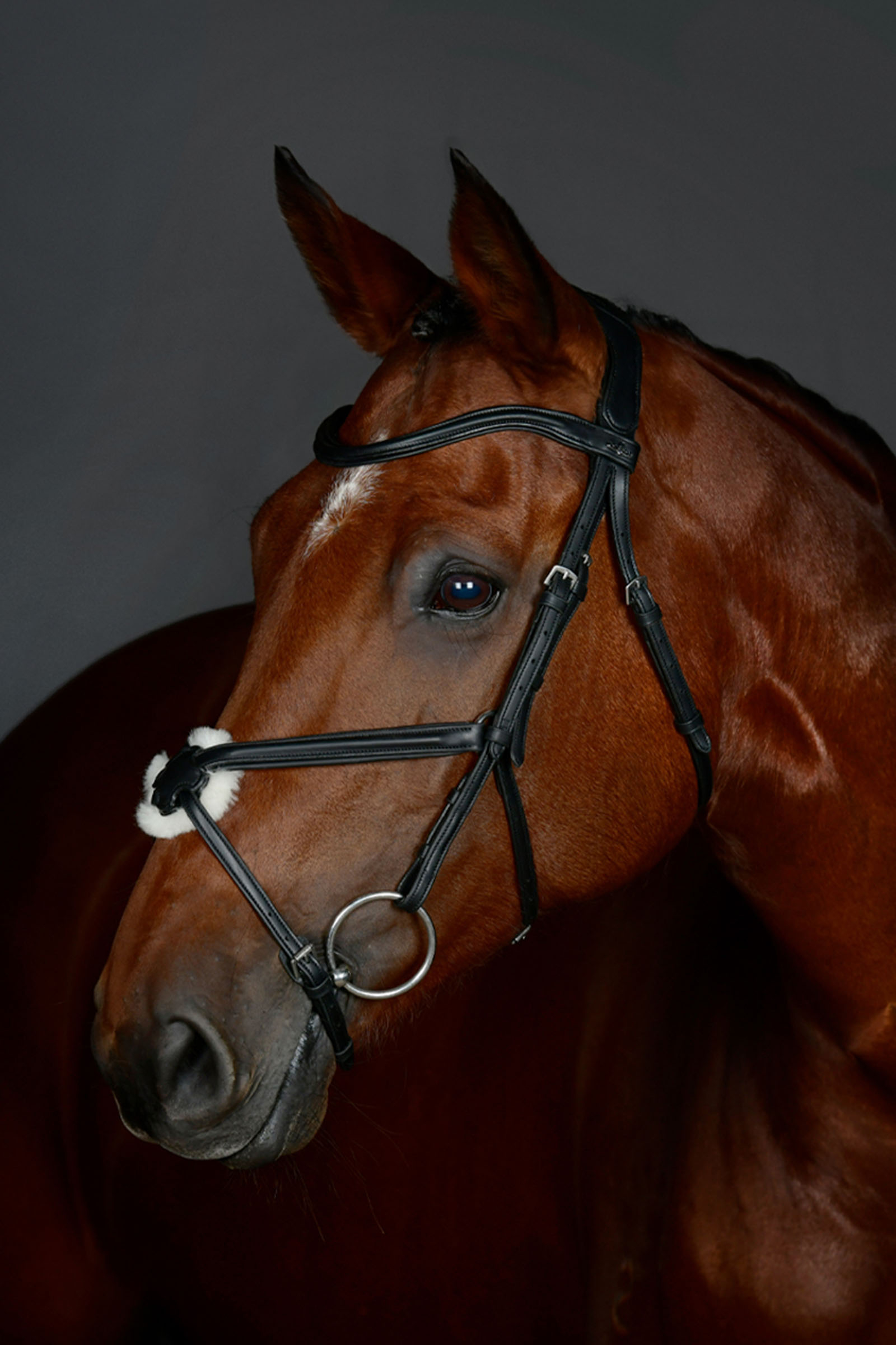 Collegiate Comfitec Opulux Plain Padded Grackle Bridle