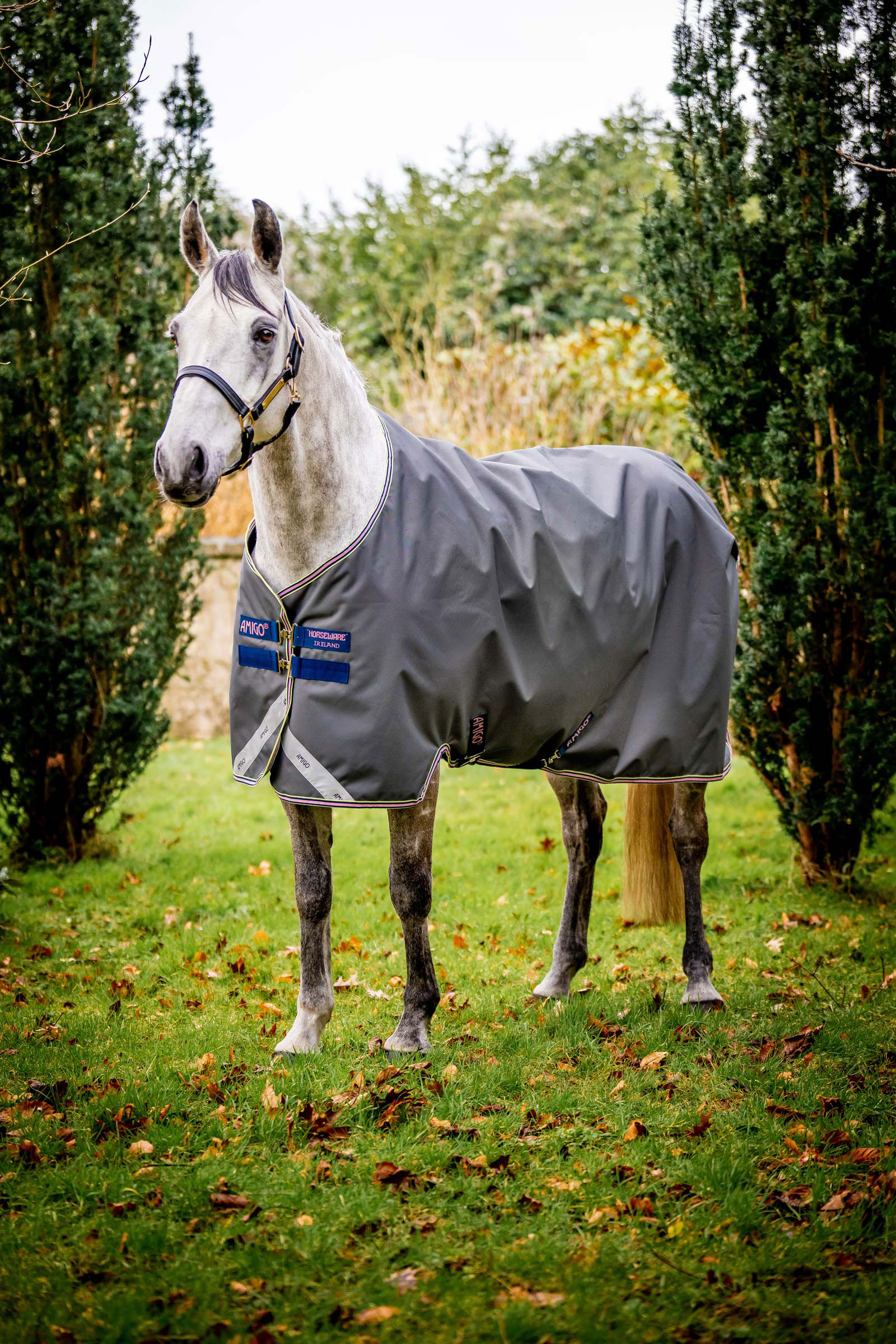Horseware Amigo Bravo 12 Turnout Rug, 0g