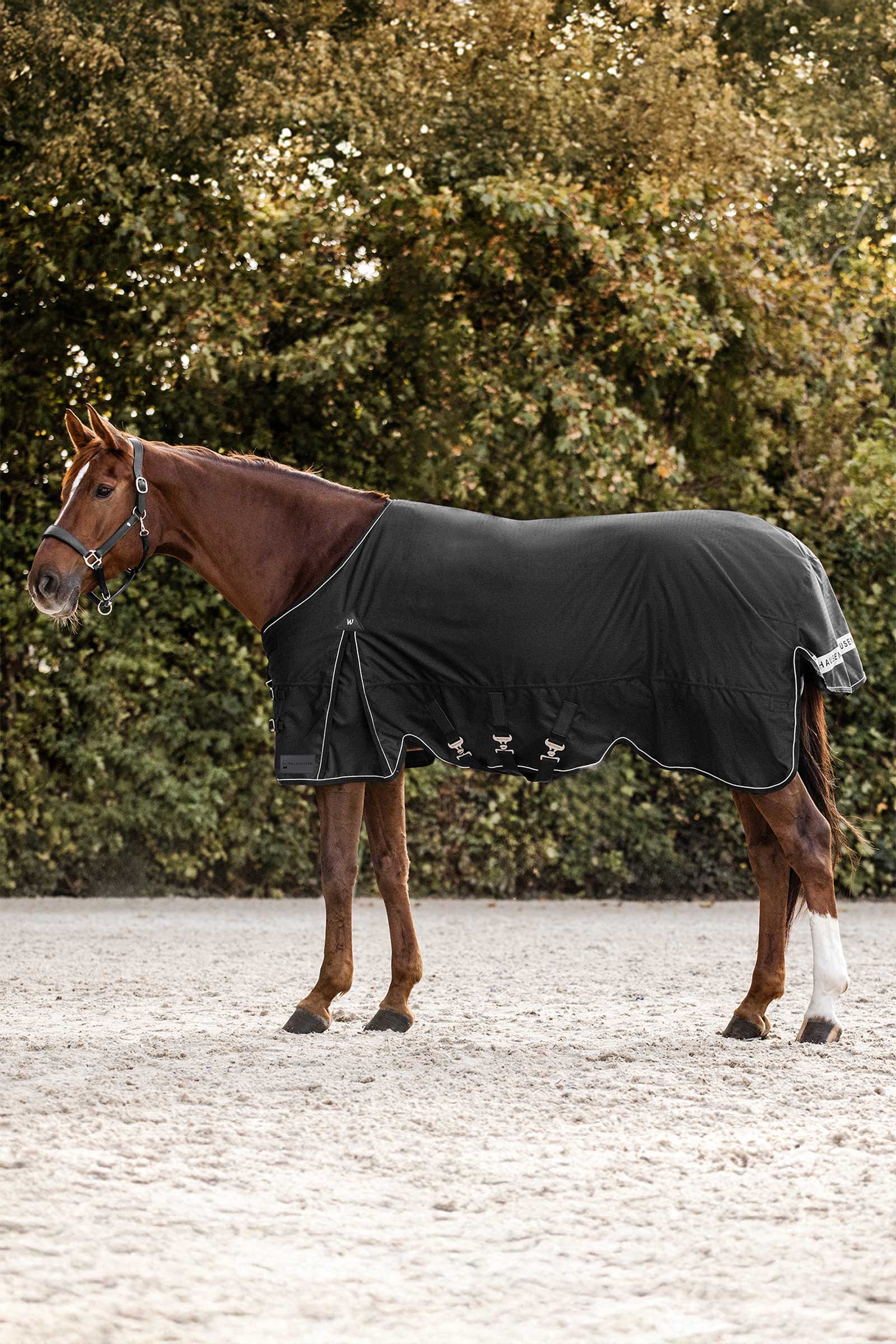 Waldhausen Scandic Turnout Rug, 200 g