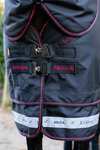 LeMieux Arika Storm-Tek Turnout Rug With Detachable Neck, 50 g