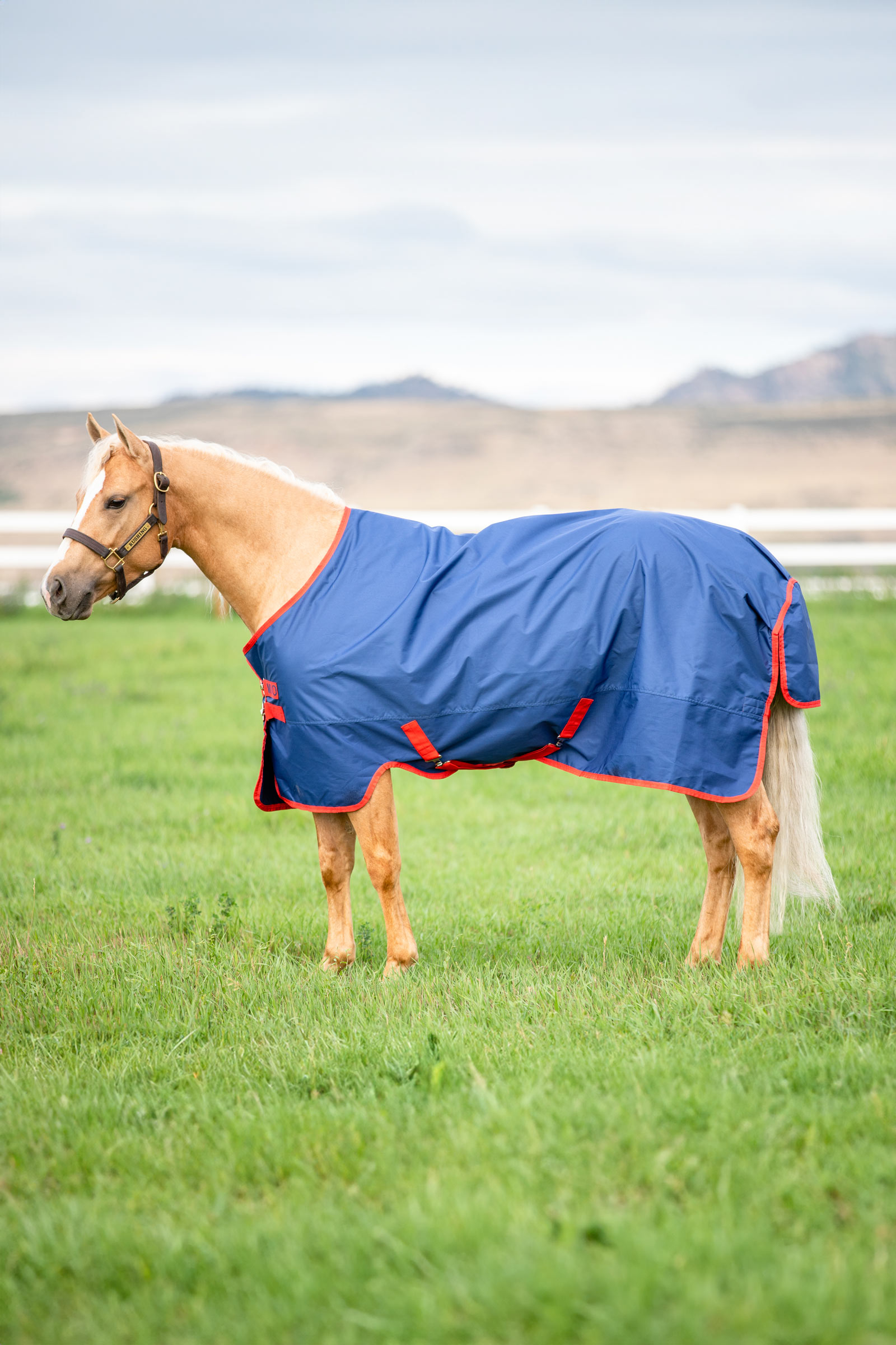 Horseware Mio Turnout Rug, 0g