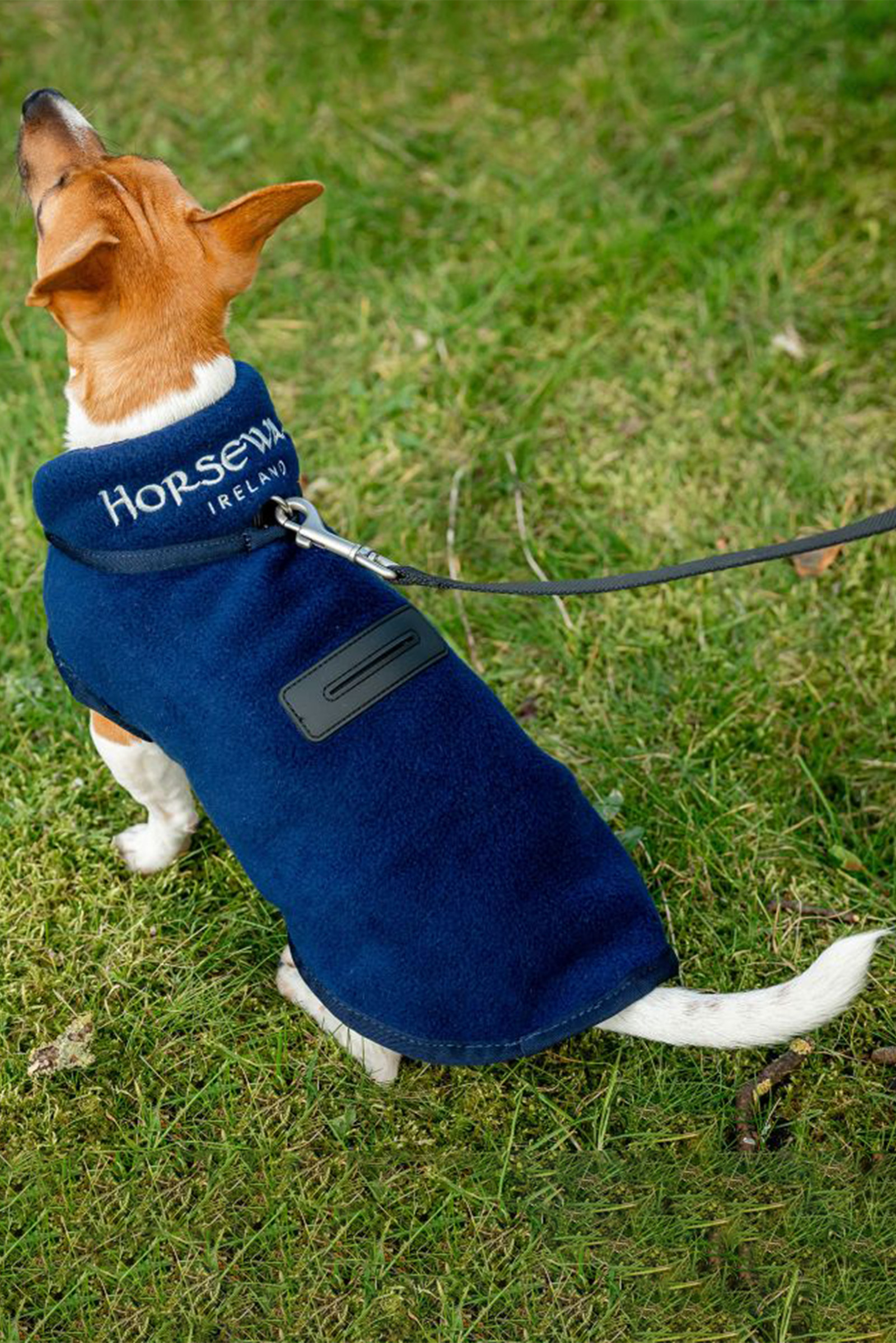 Horseware Signature Dog Fleece