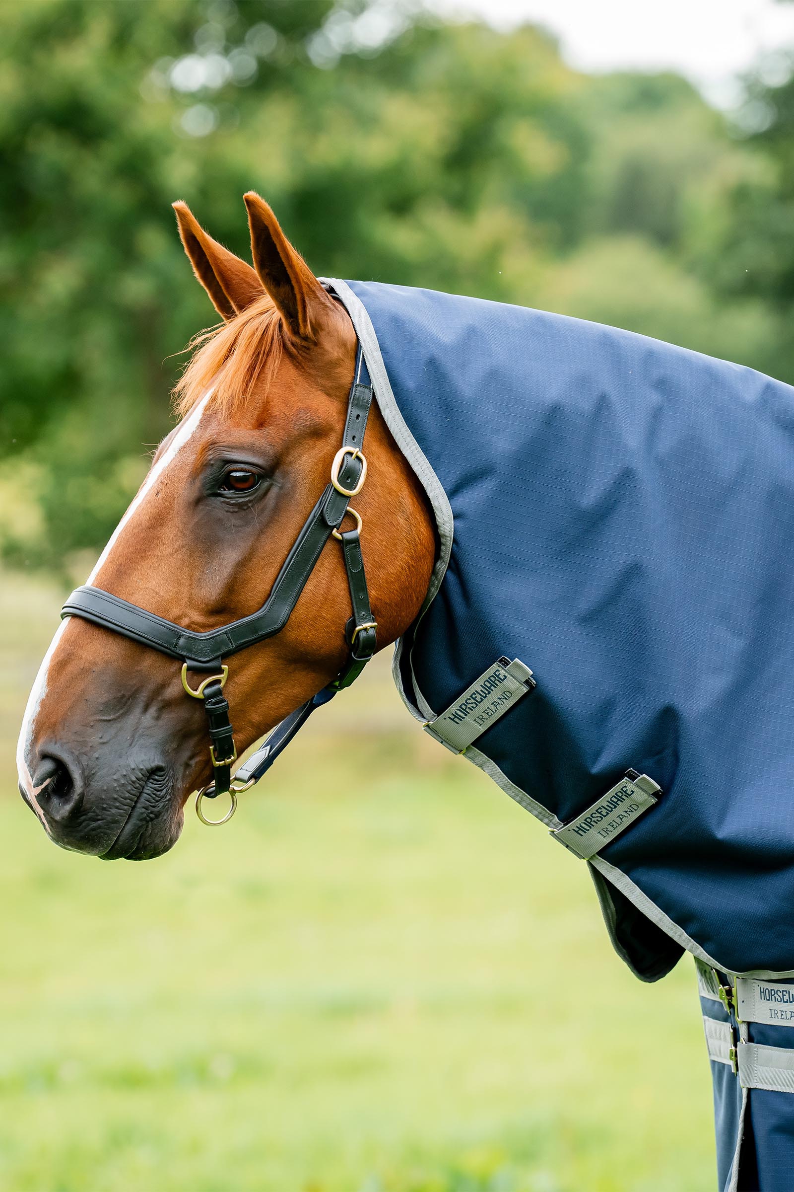 Horseware Amigo Ripstop 900D Plus Turnout, 200g