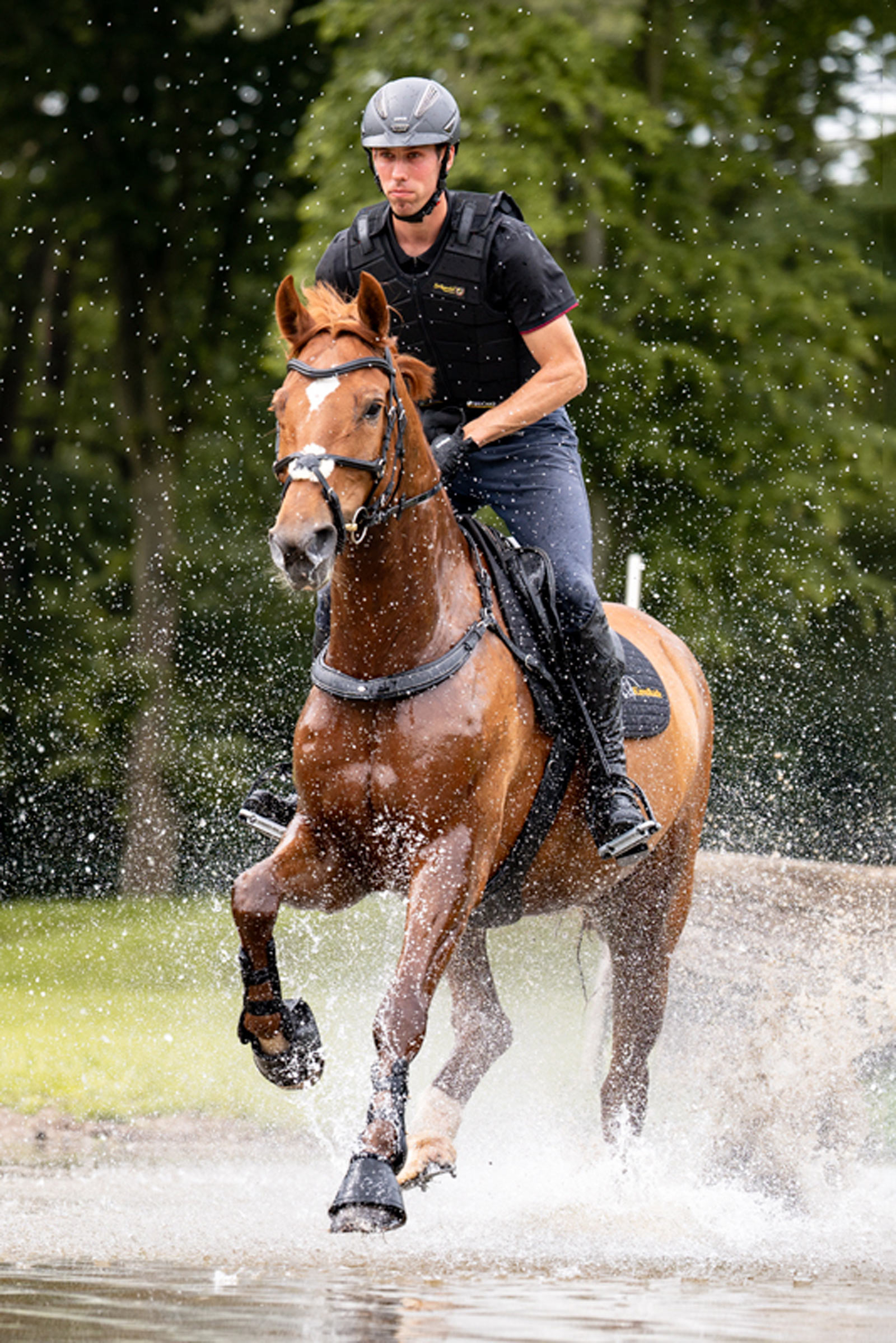 Kavalkade Jerome 2-Point Breastplate