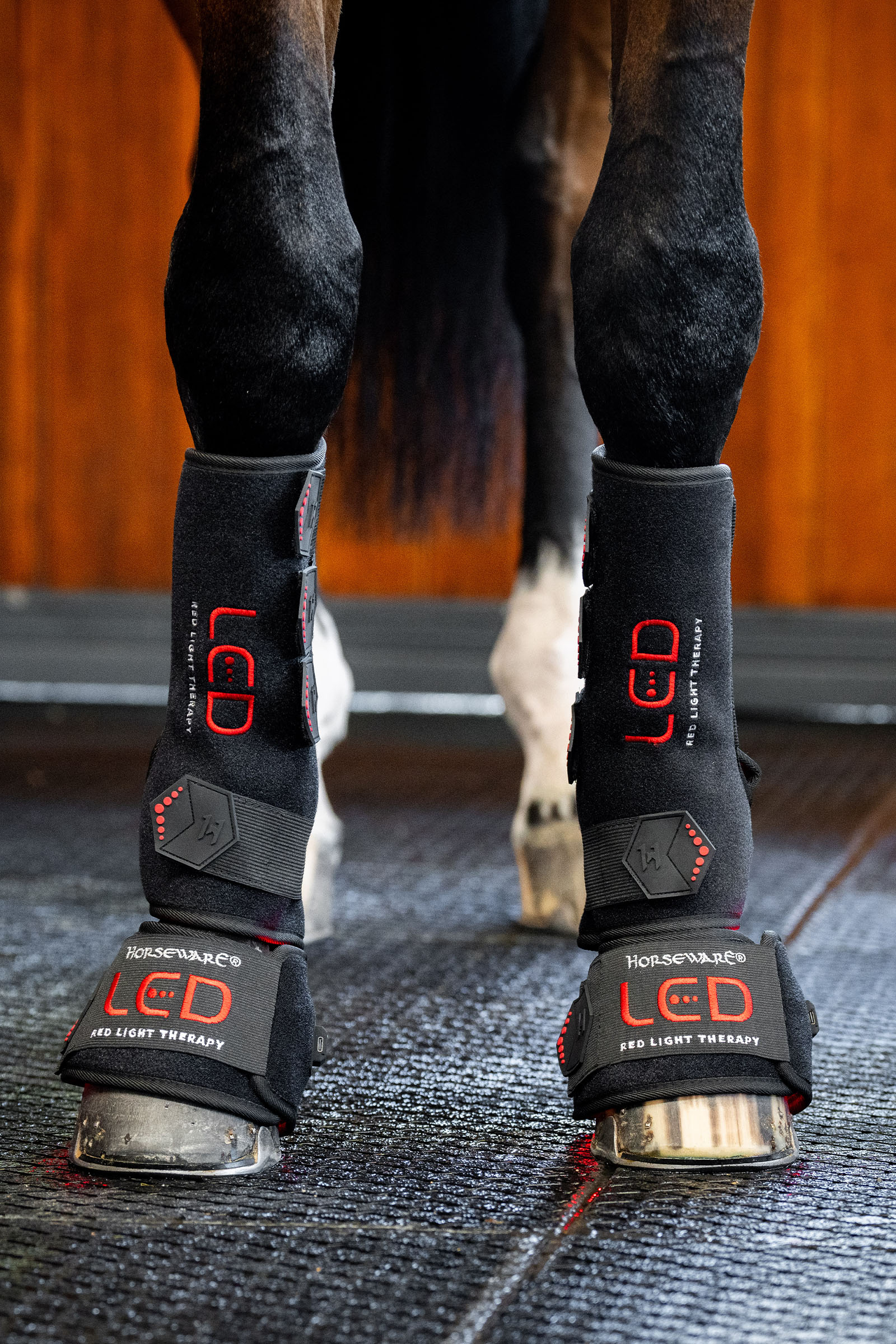 Horseware LED Red Light Therapy Leg Wrap (1 pc.)