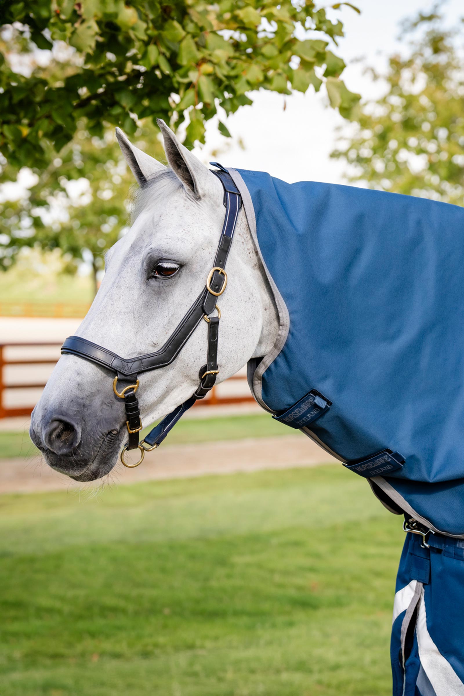 Horseware Ionic Therapy Turnout Hood 0g