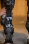 Veredus Carbon Gel Absolute Tendon Boots