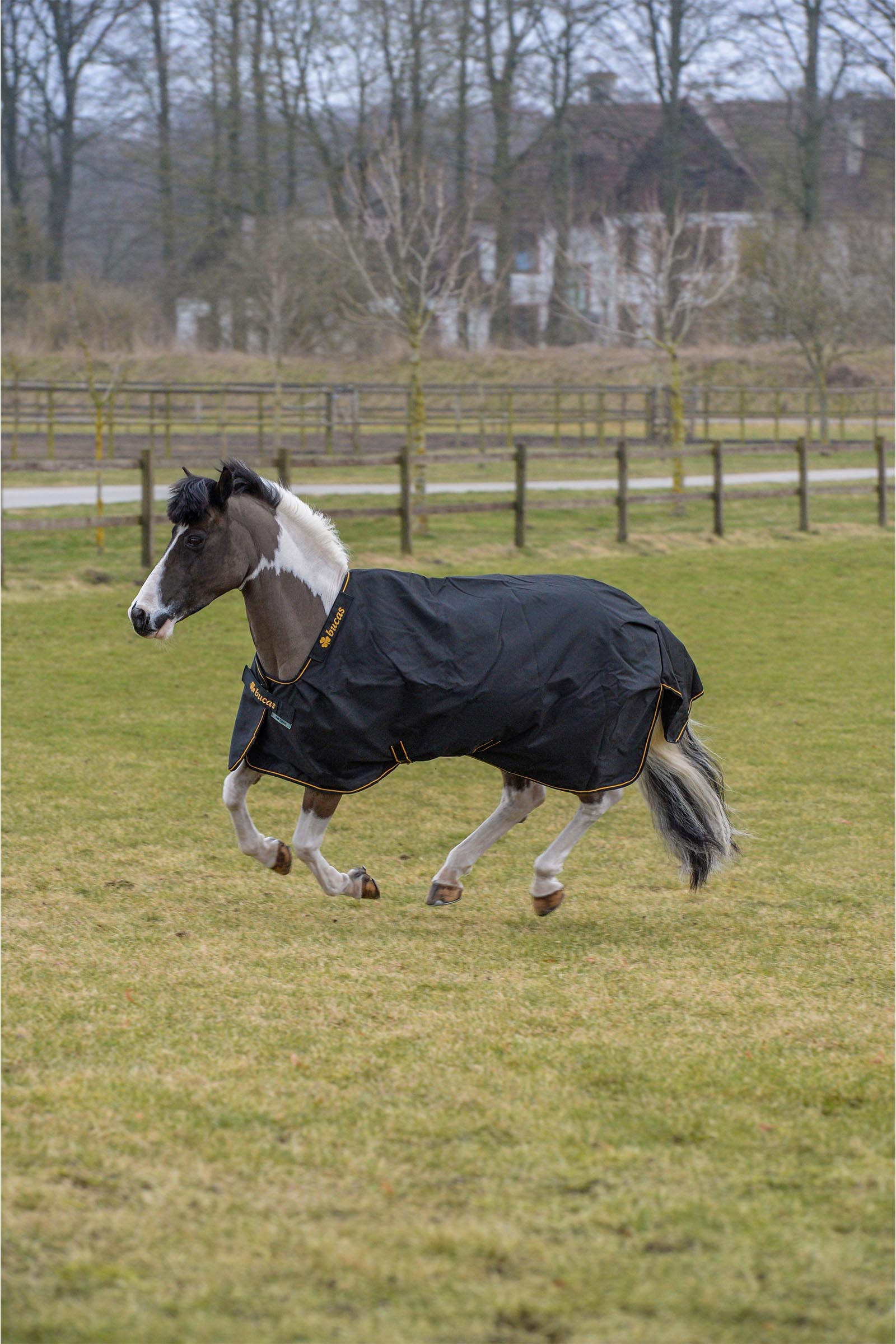 Bucas Irish Turnout Rug, 100 g