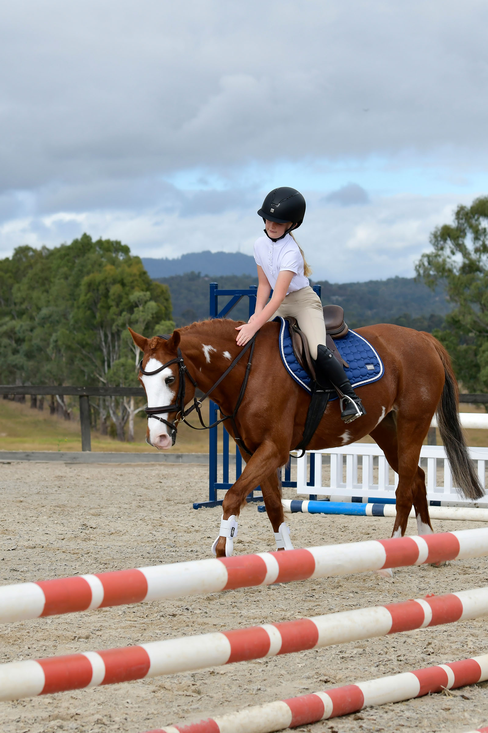 Collegiate Comfitec Opulux Plain Padded Hanoverian Flash Bridle