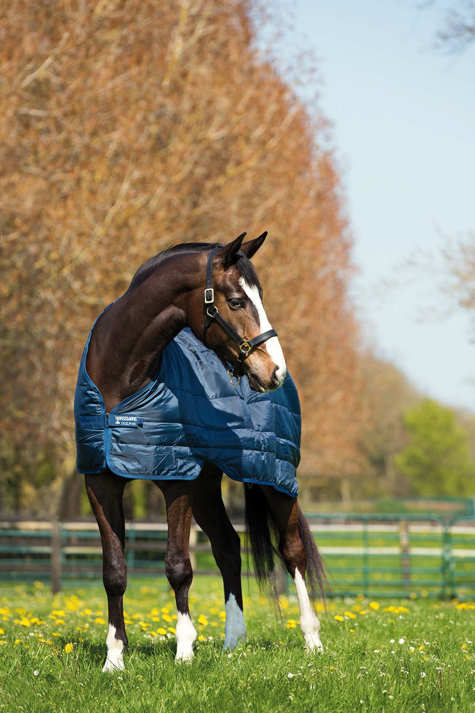 Horseware Liner 300g