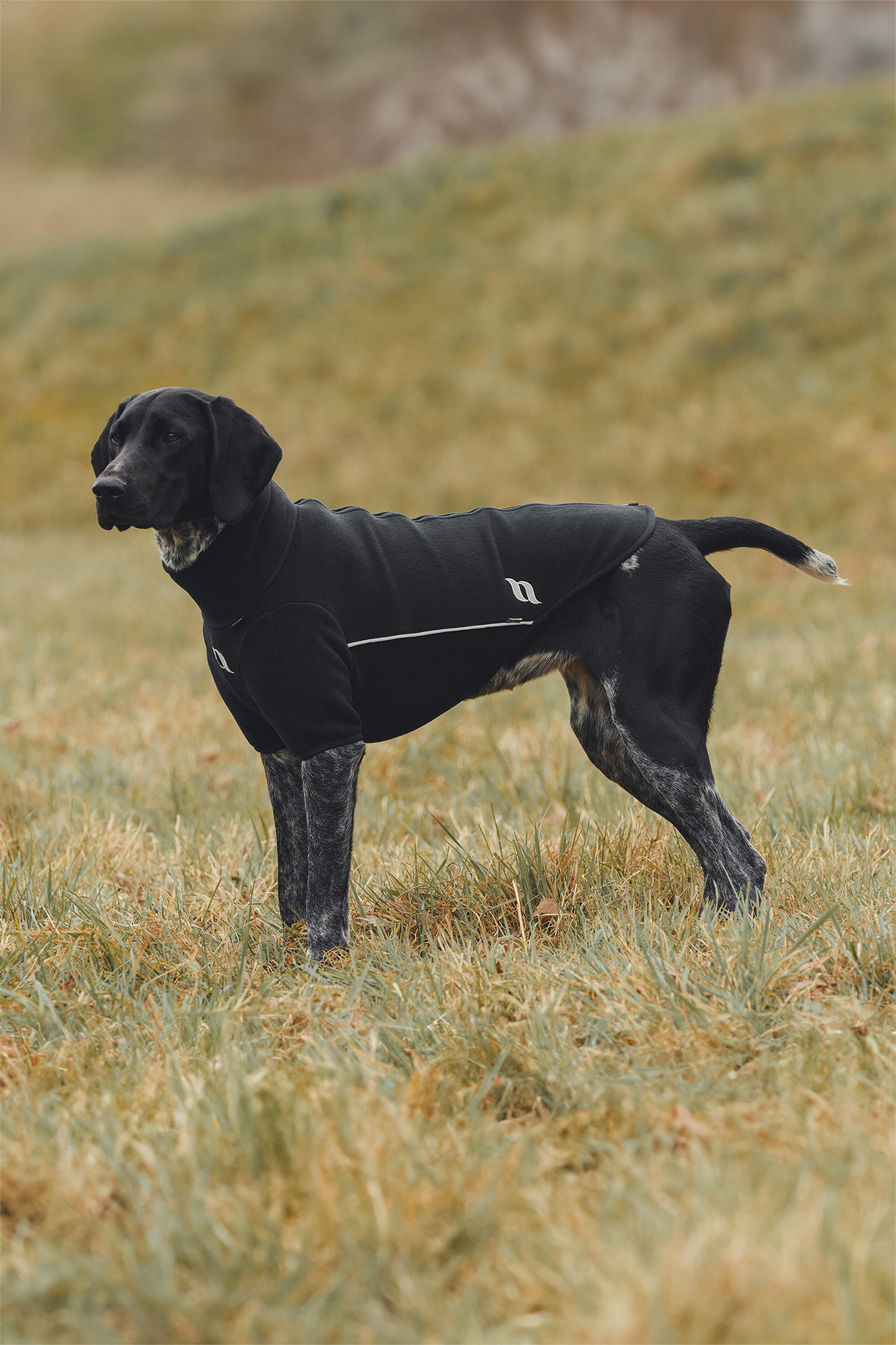 Back on Track Cassie All-Weather Jumper, 45-50cm