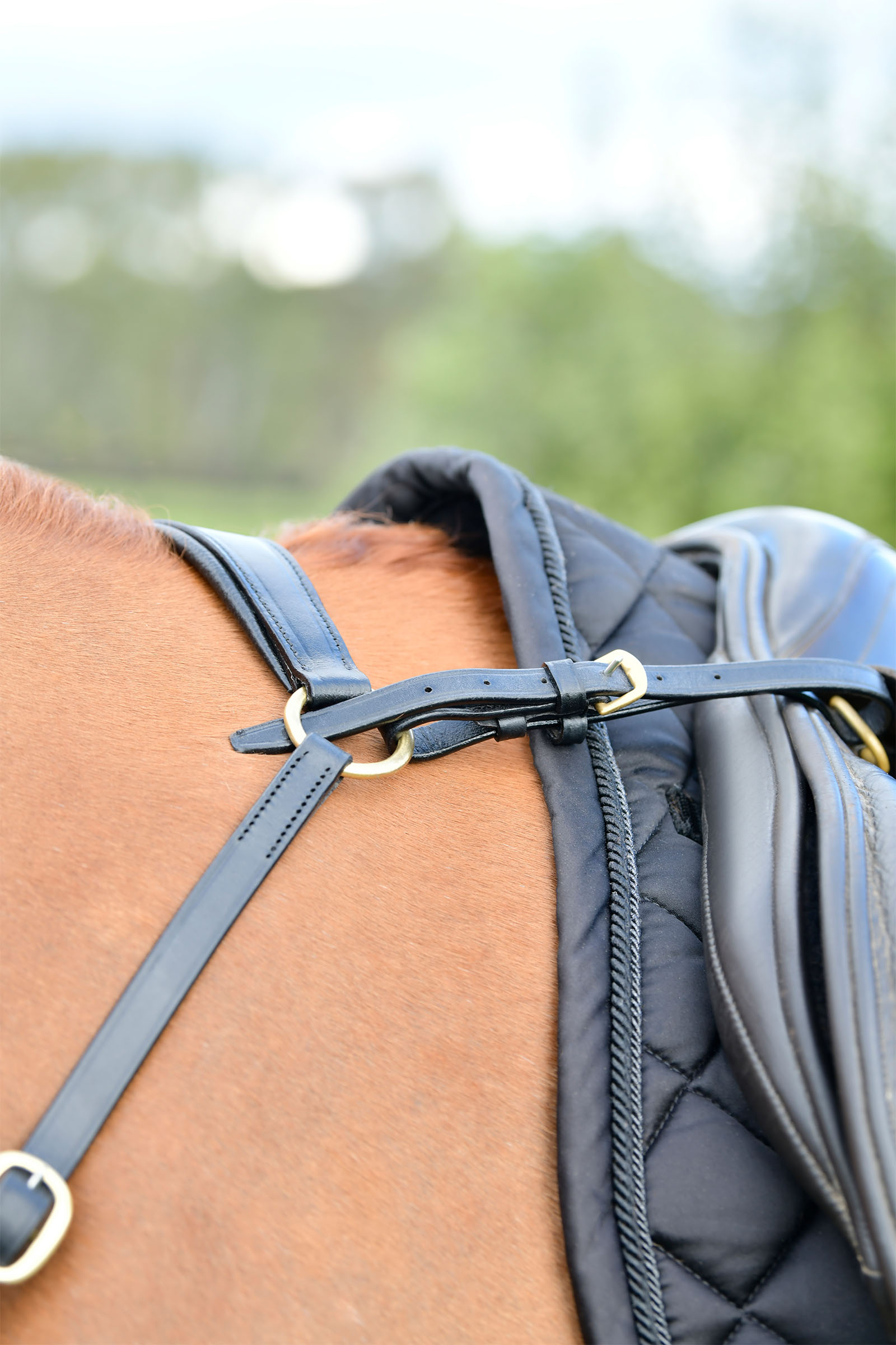 Kincade Classic 3 Point Breastplate With Running Martingale